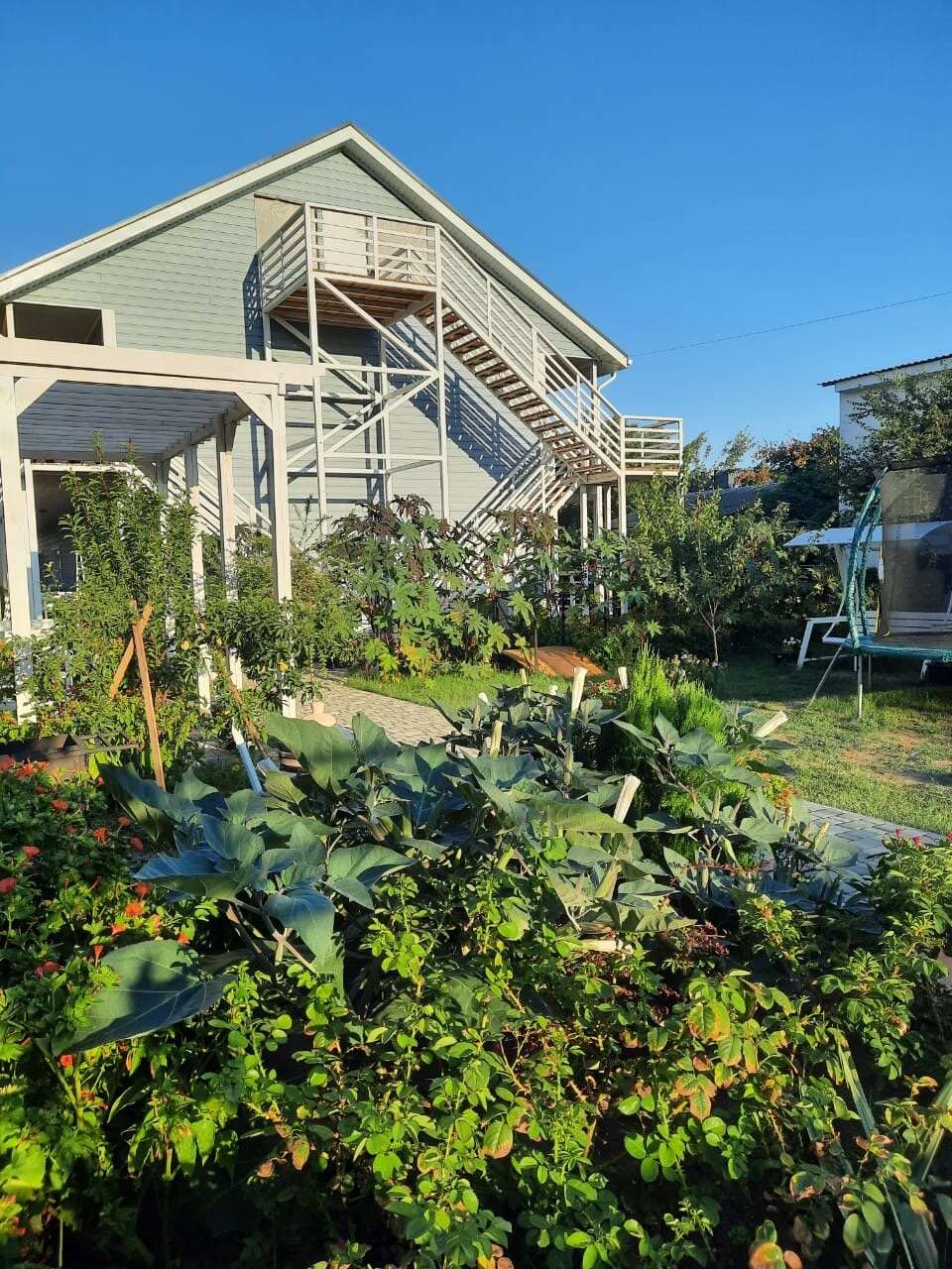 Фото Белая дача