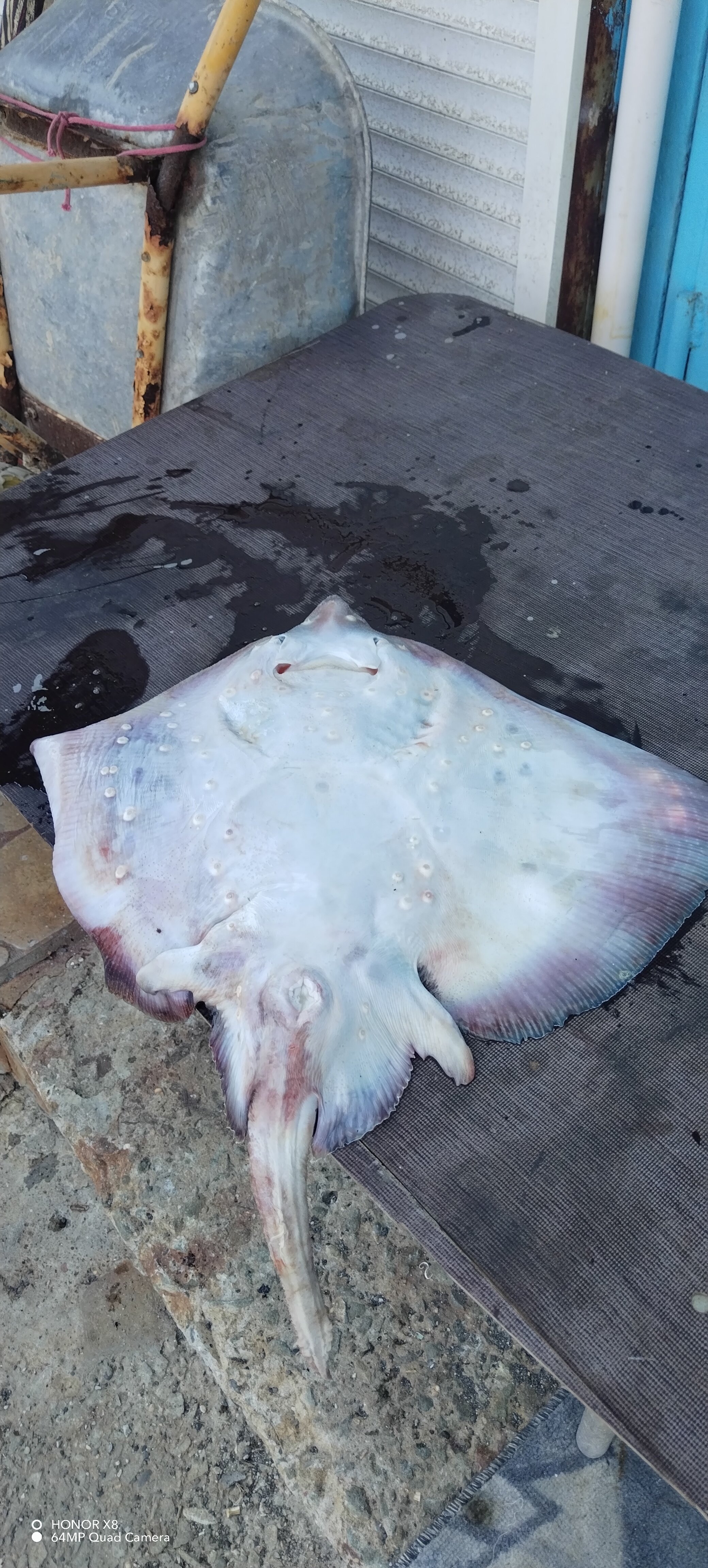 Фото Рыбачий Стан