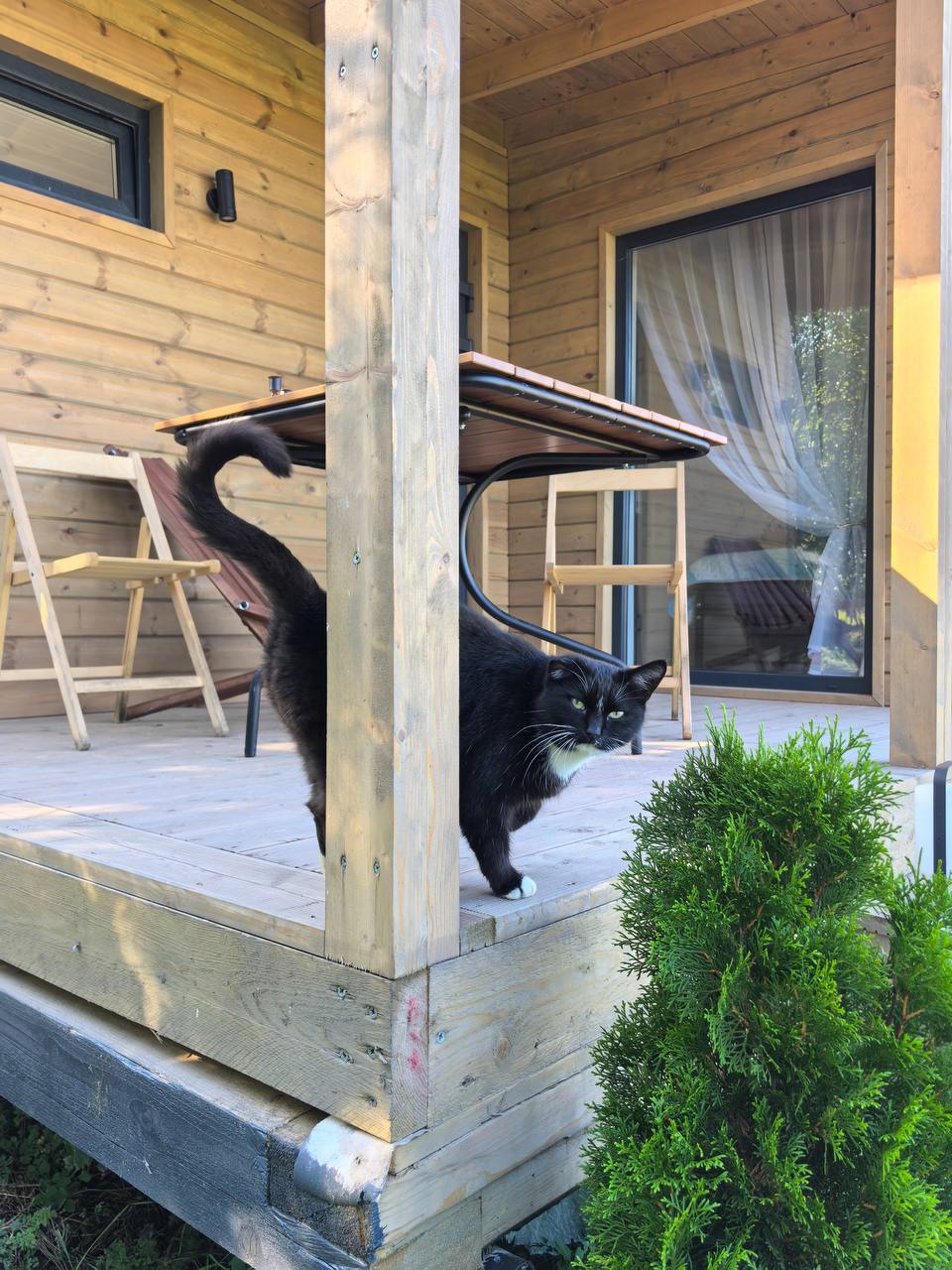 Фото Монтенегро