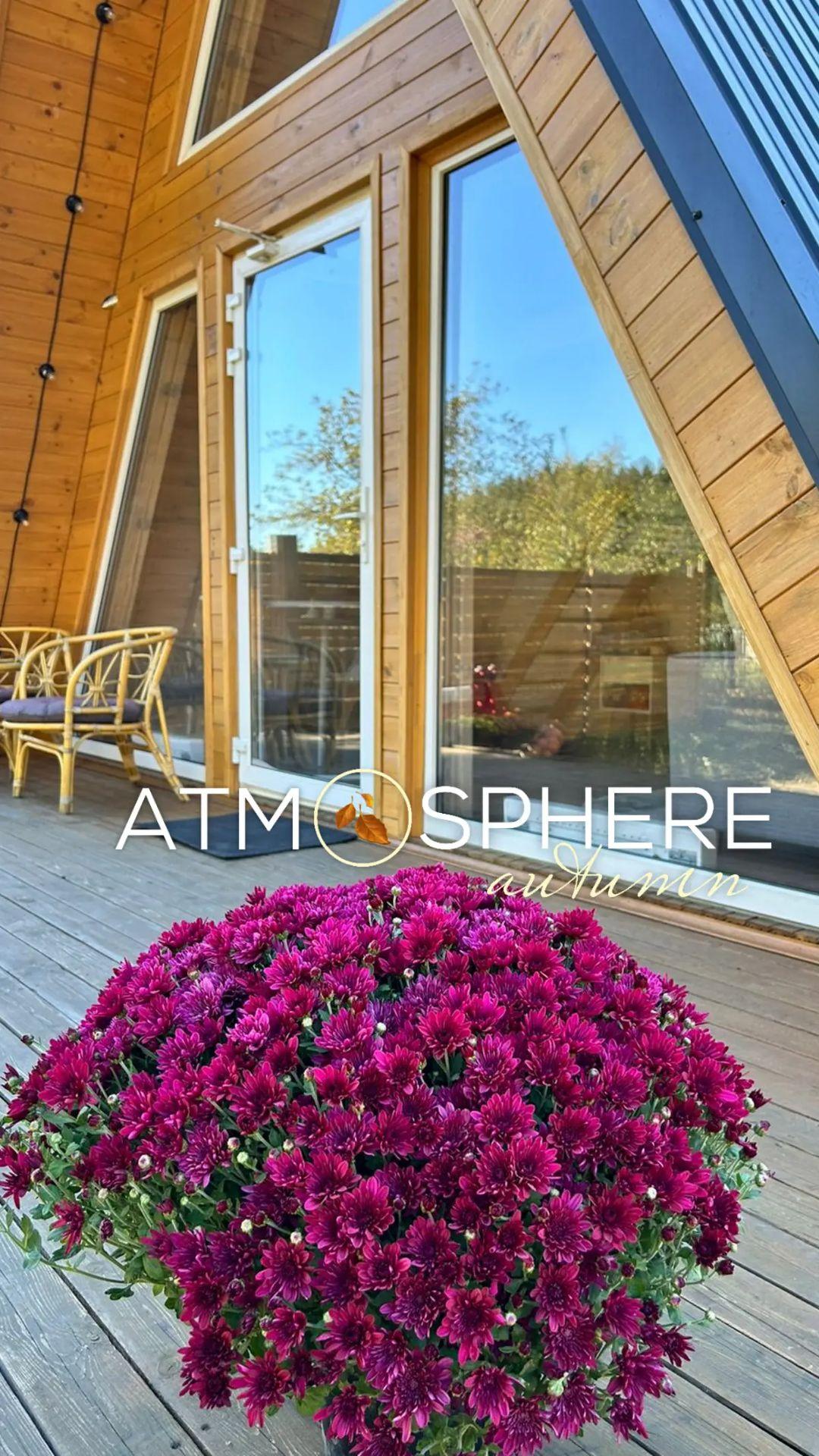 Фото Шанти Афрейм