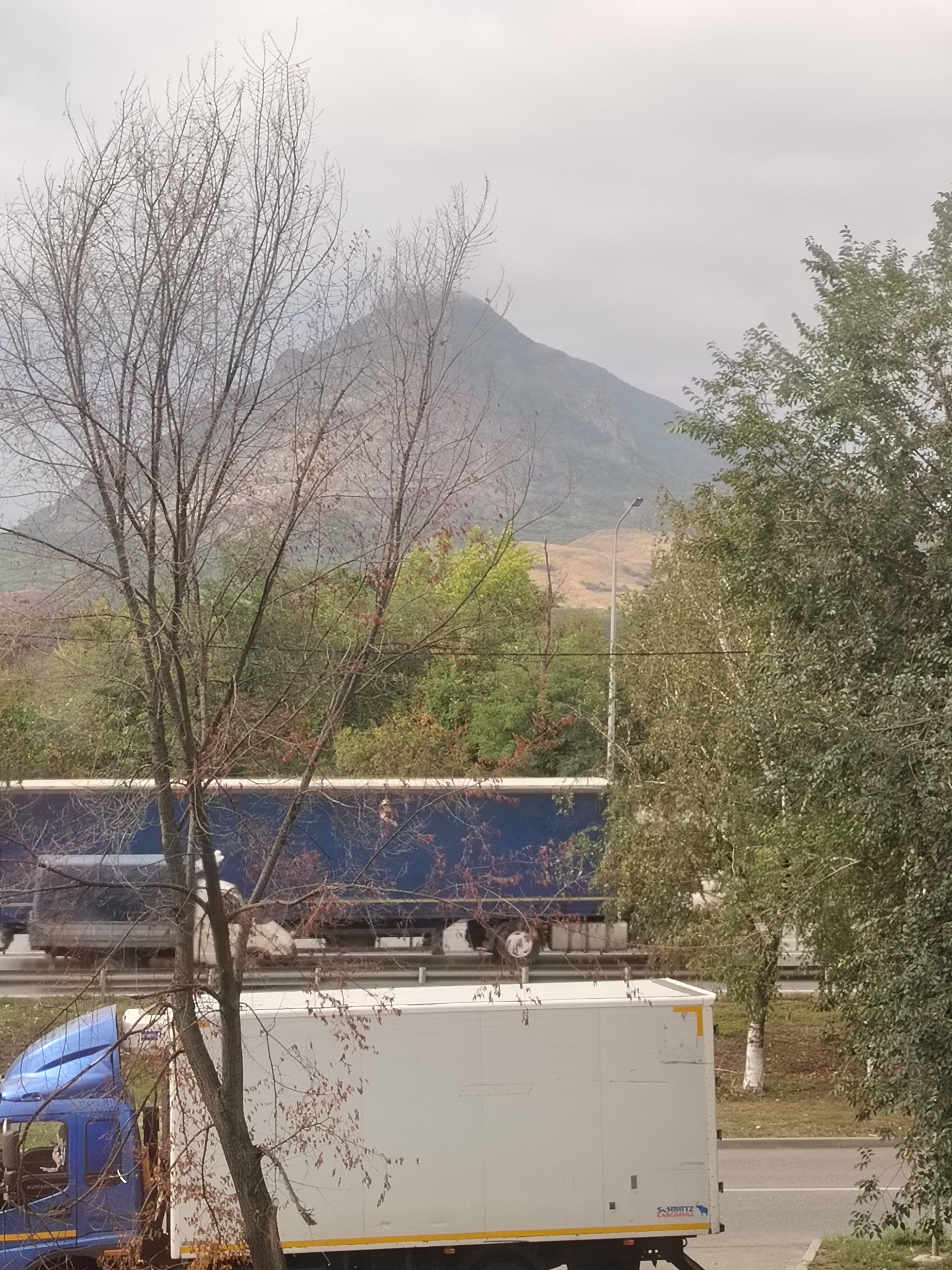 Фото Астэри