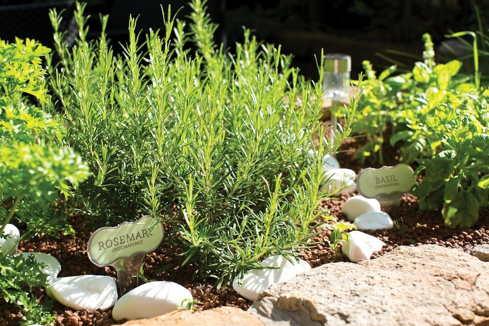 Фото Adina Apartment Hotel Budapest