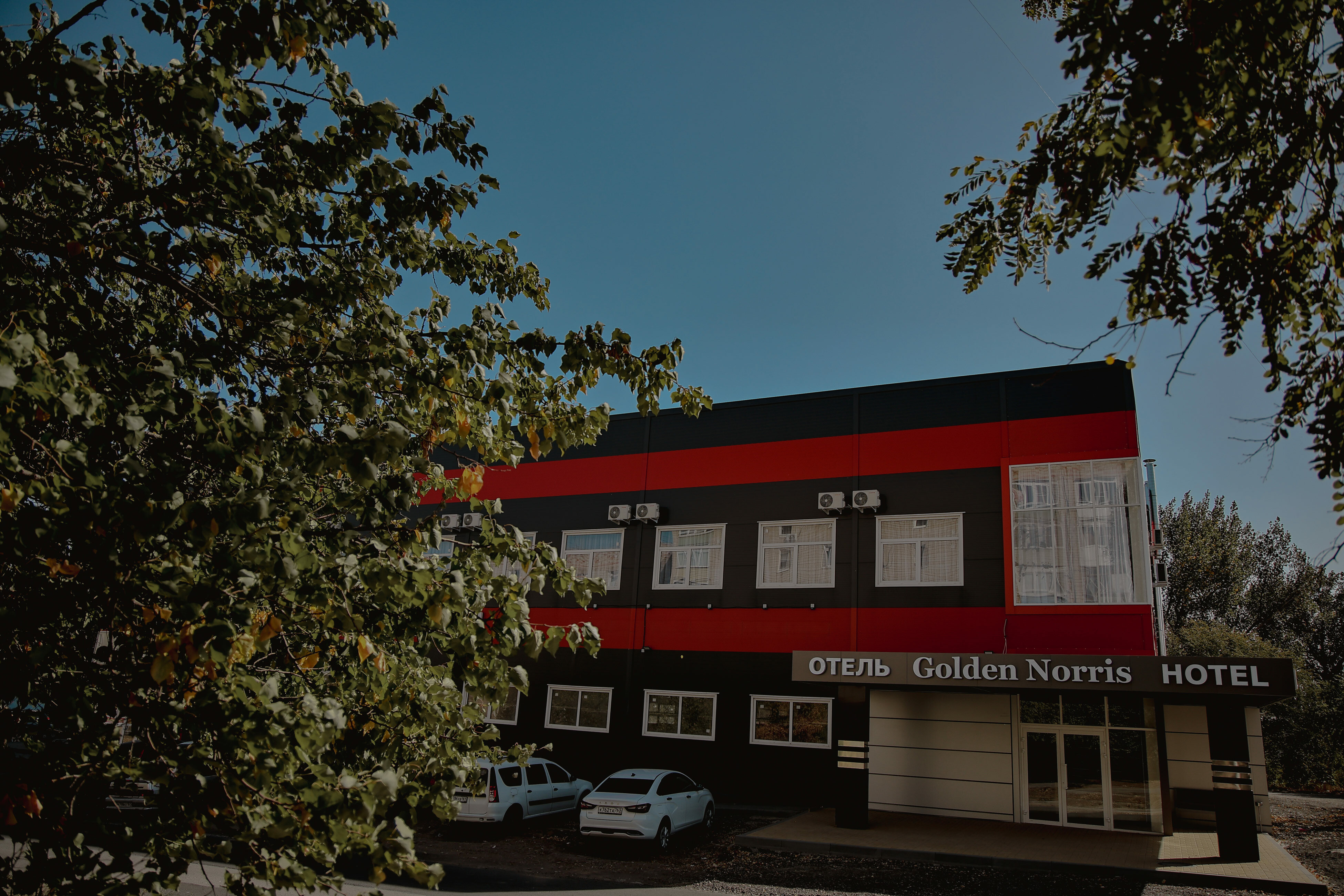 Фото Голден Норрис