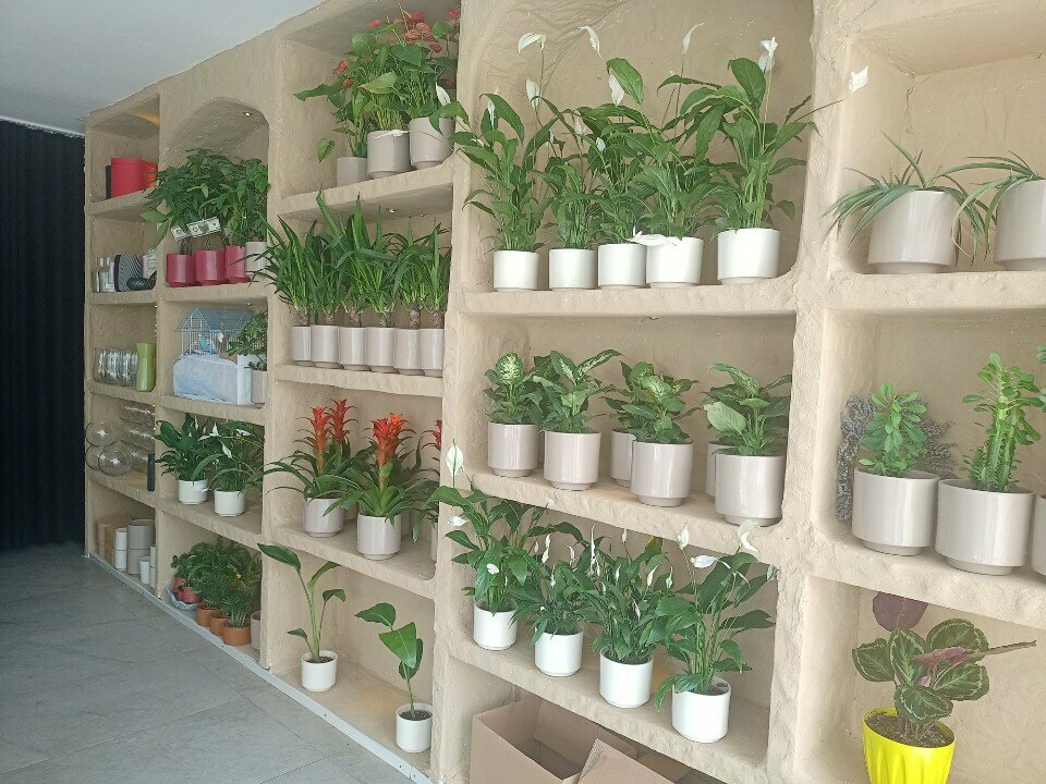 Flower shop Regnum Garden, Antalya, photo