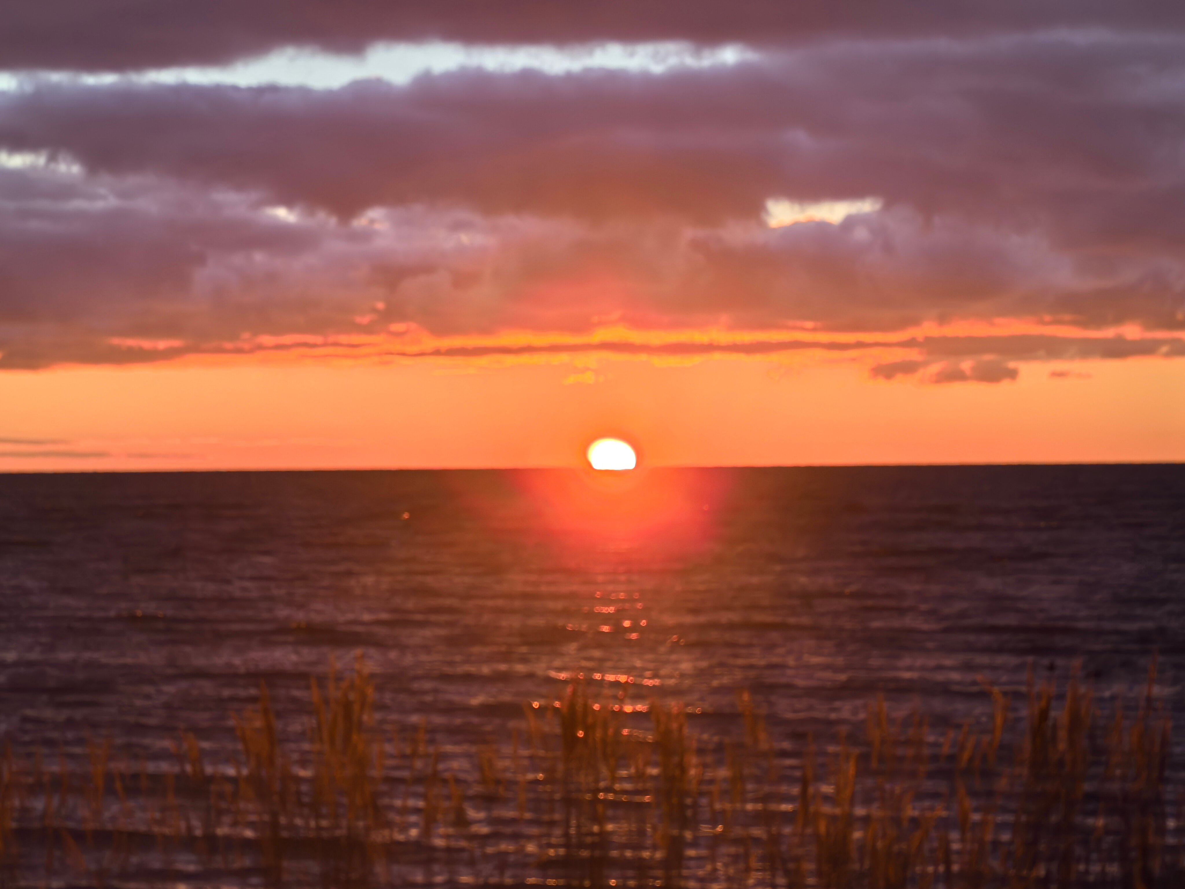 Фото Загородный клуб Устье