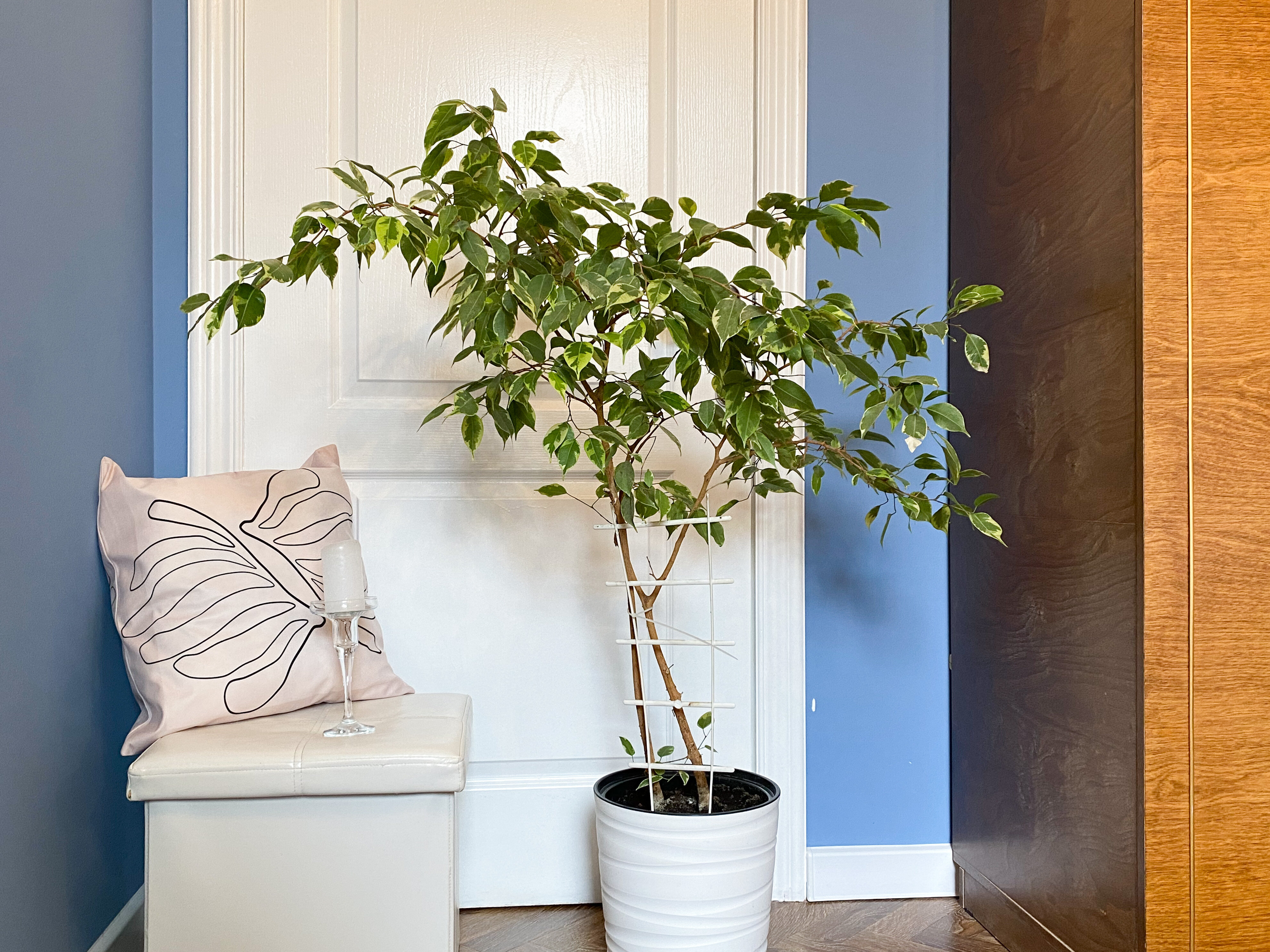 Фото Счастье жить в Севастополе