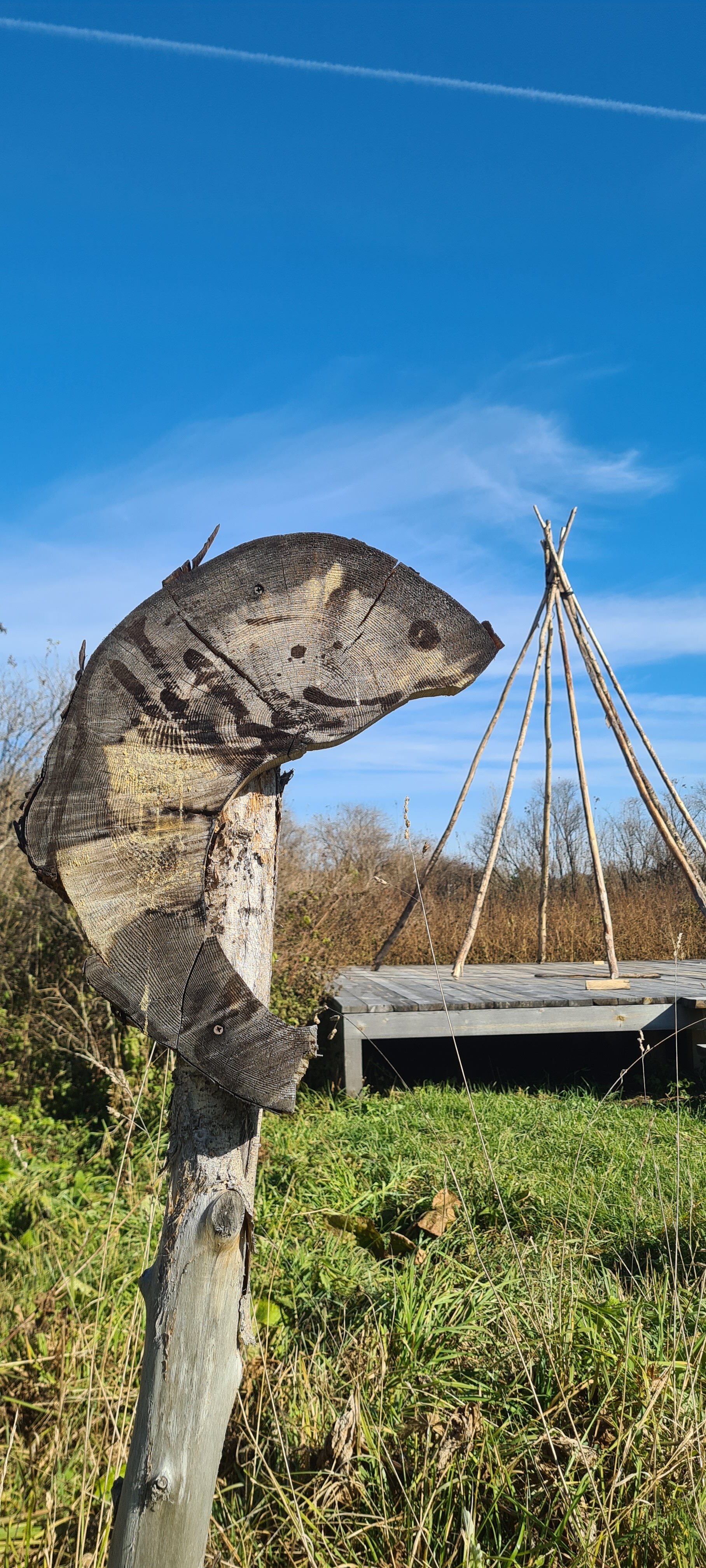 Фото Глэмпинг Стрекоза