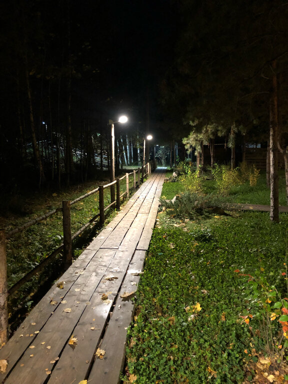 Фото Домики Иволги