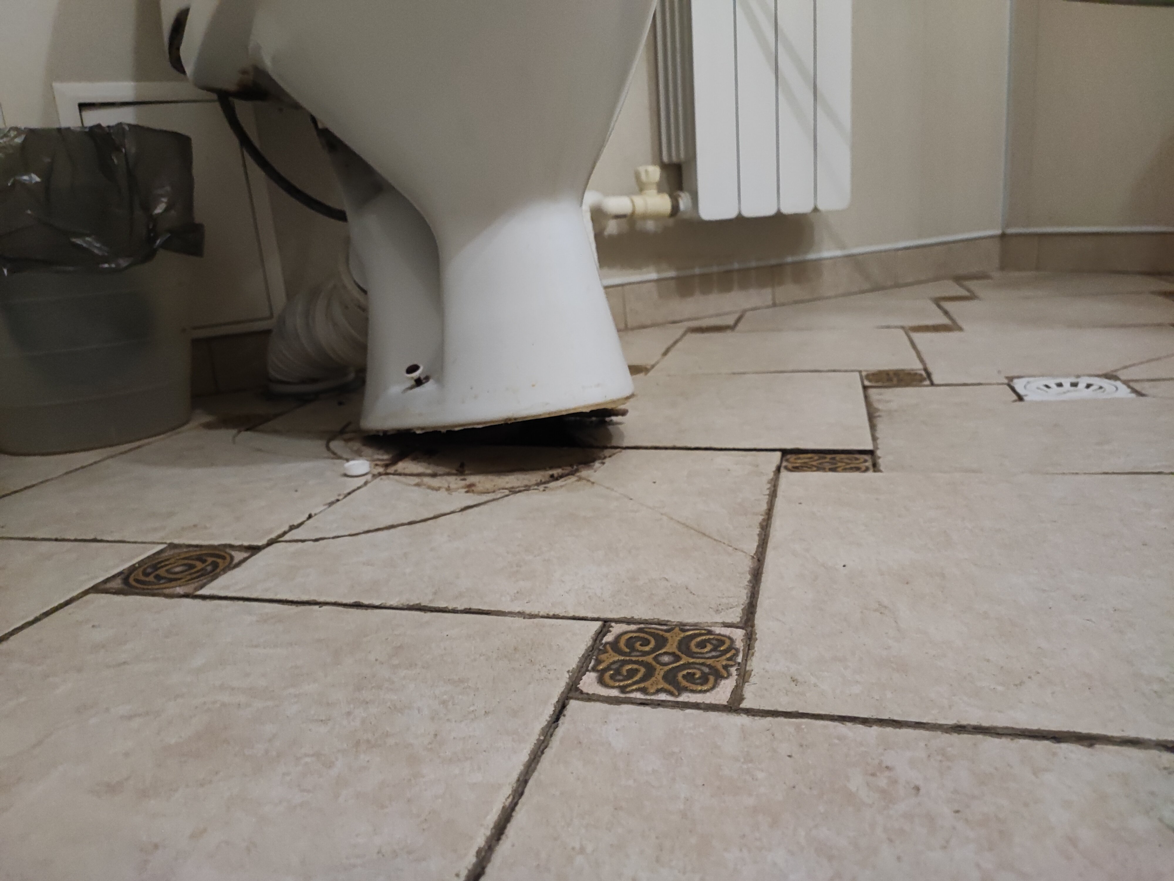 Фото Надежда