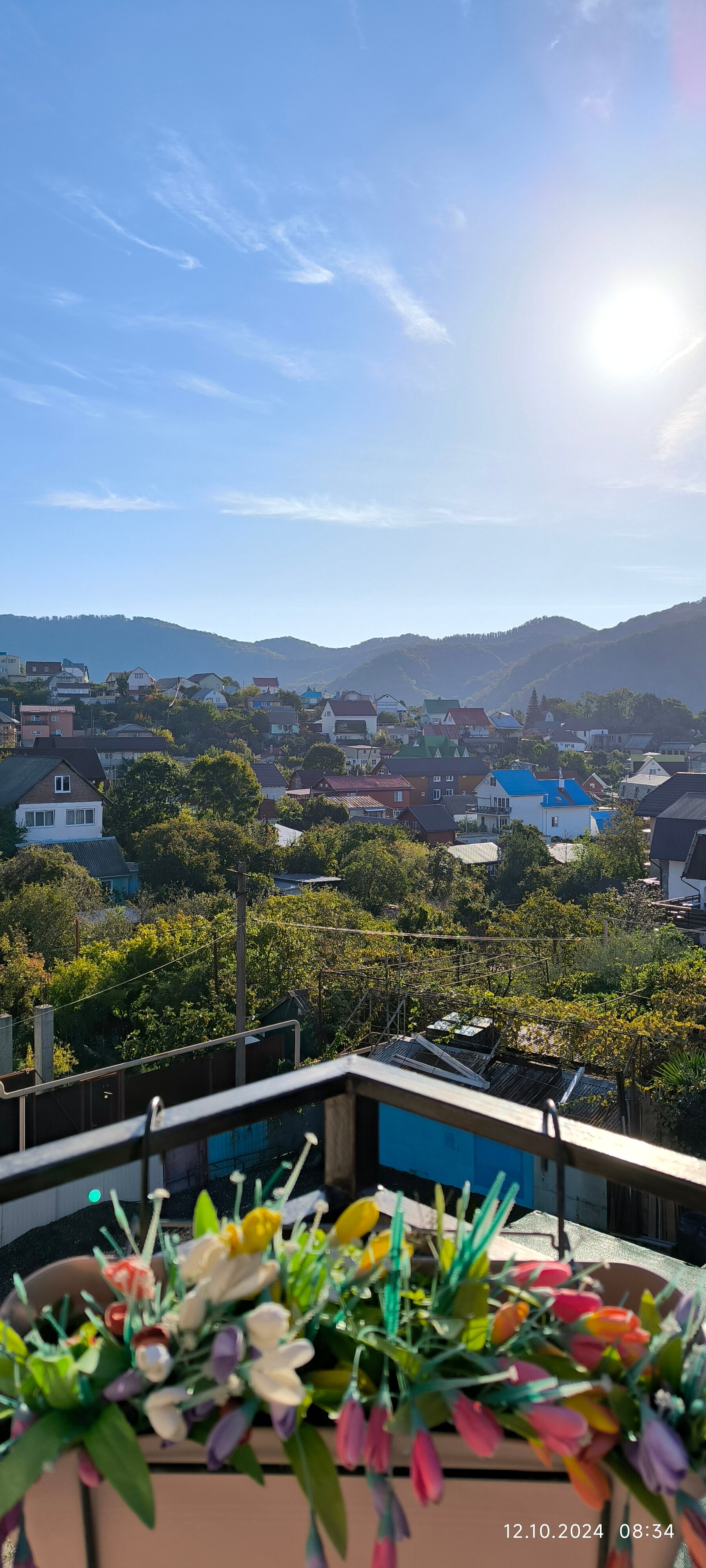 Фото Колибри