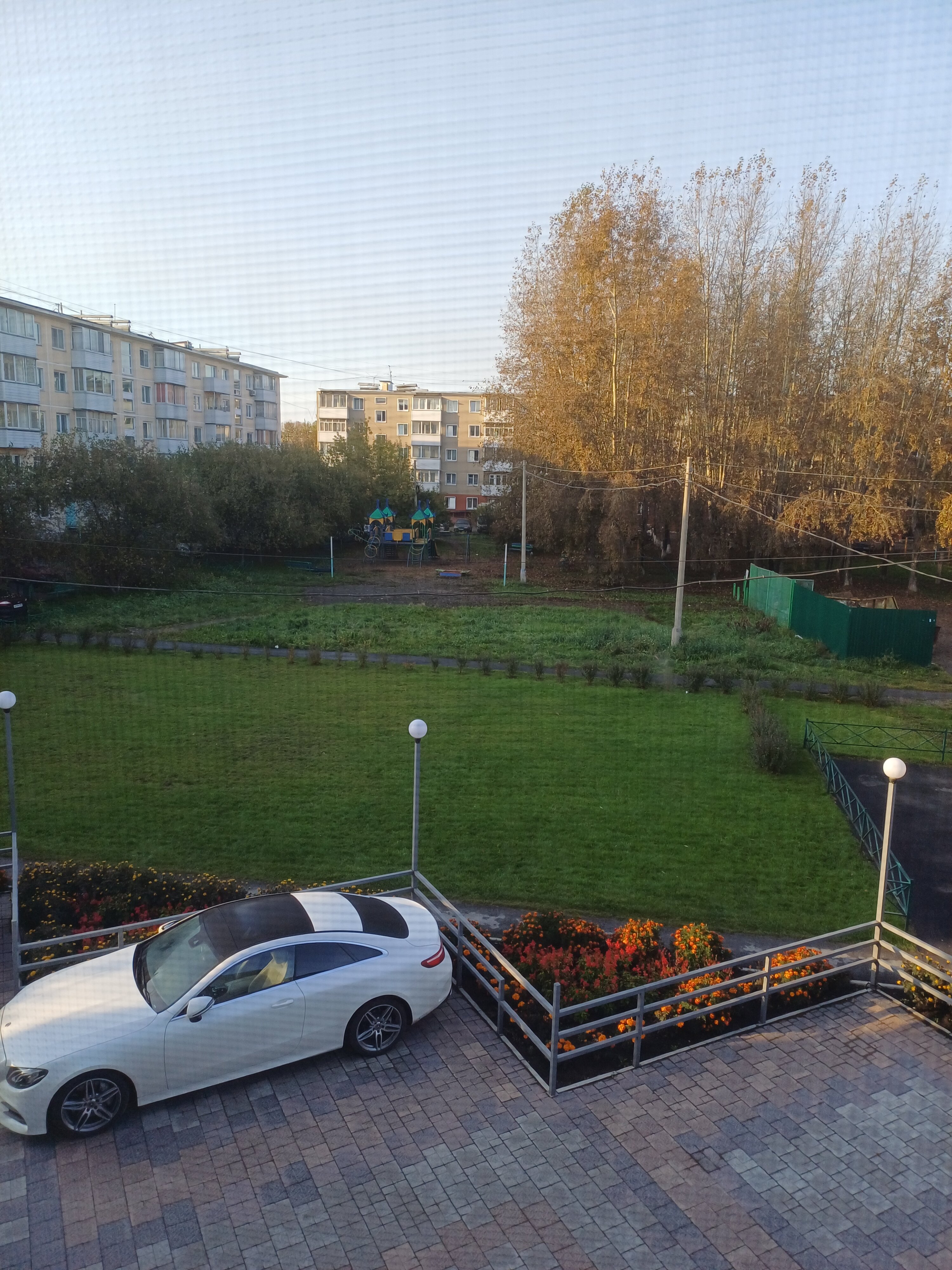 Фото Аврора