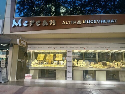 Mercan Altın Mücevherat Fotoğraf 1