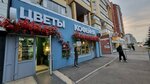 Cvetkov (Severniy Microdistrict, Vodopyanova Street, 15А) ، محل زهور