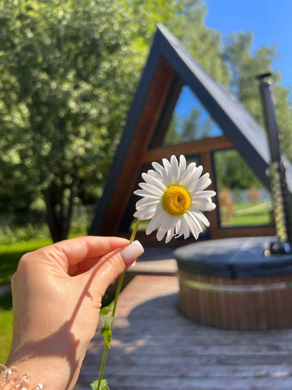 Фото Ky_ky. house