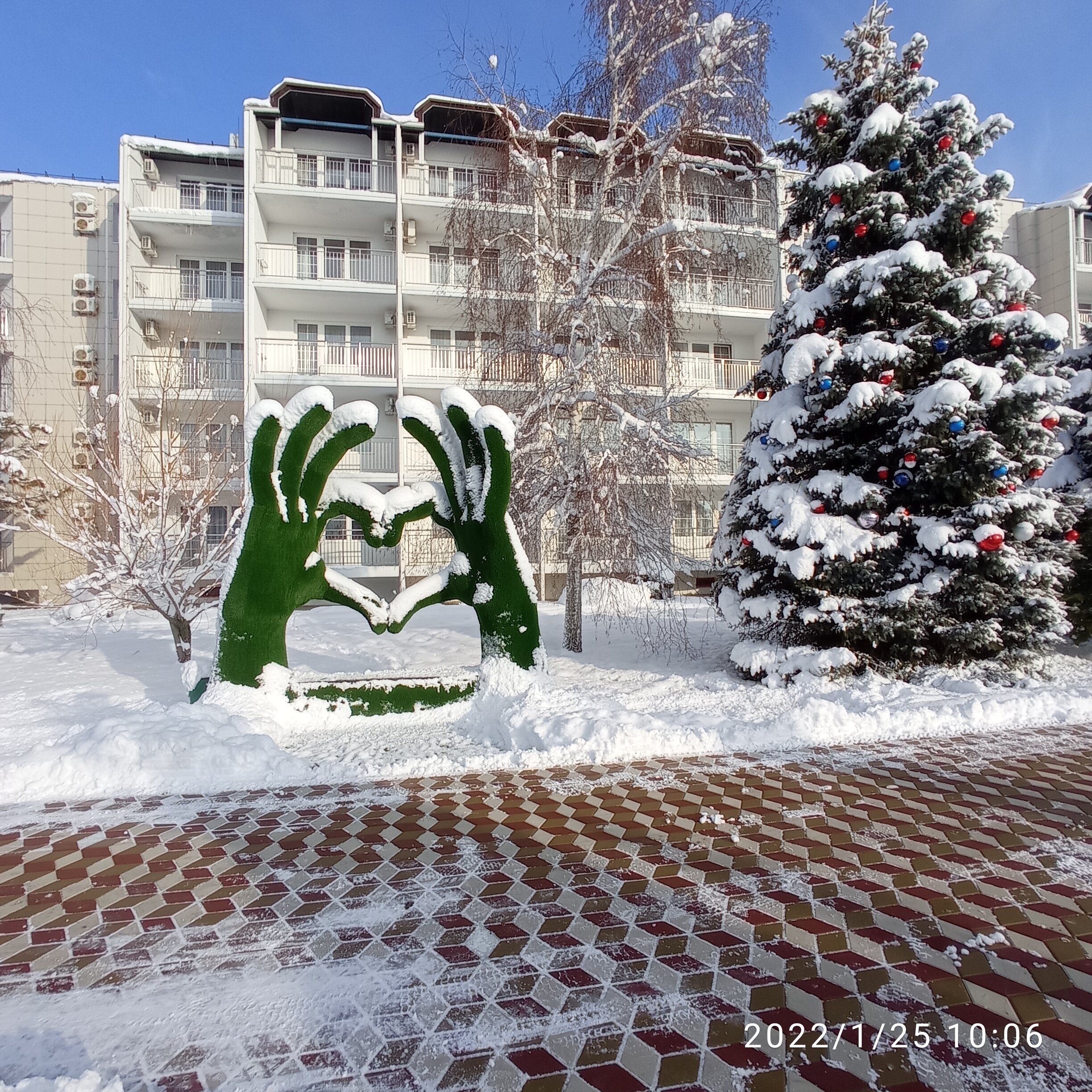 Фото Витязь