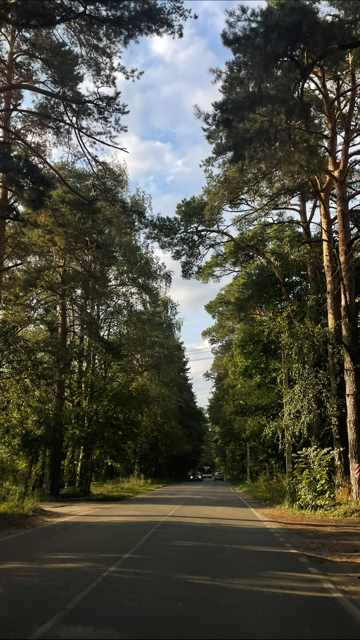 Фото 8 подушек