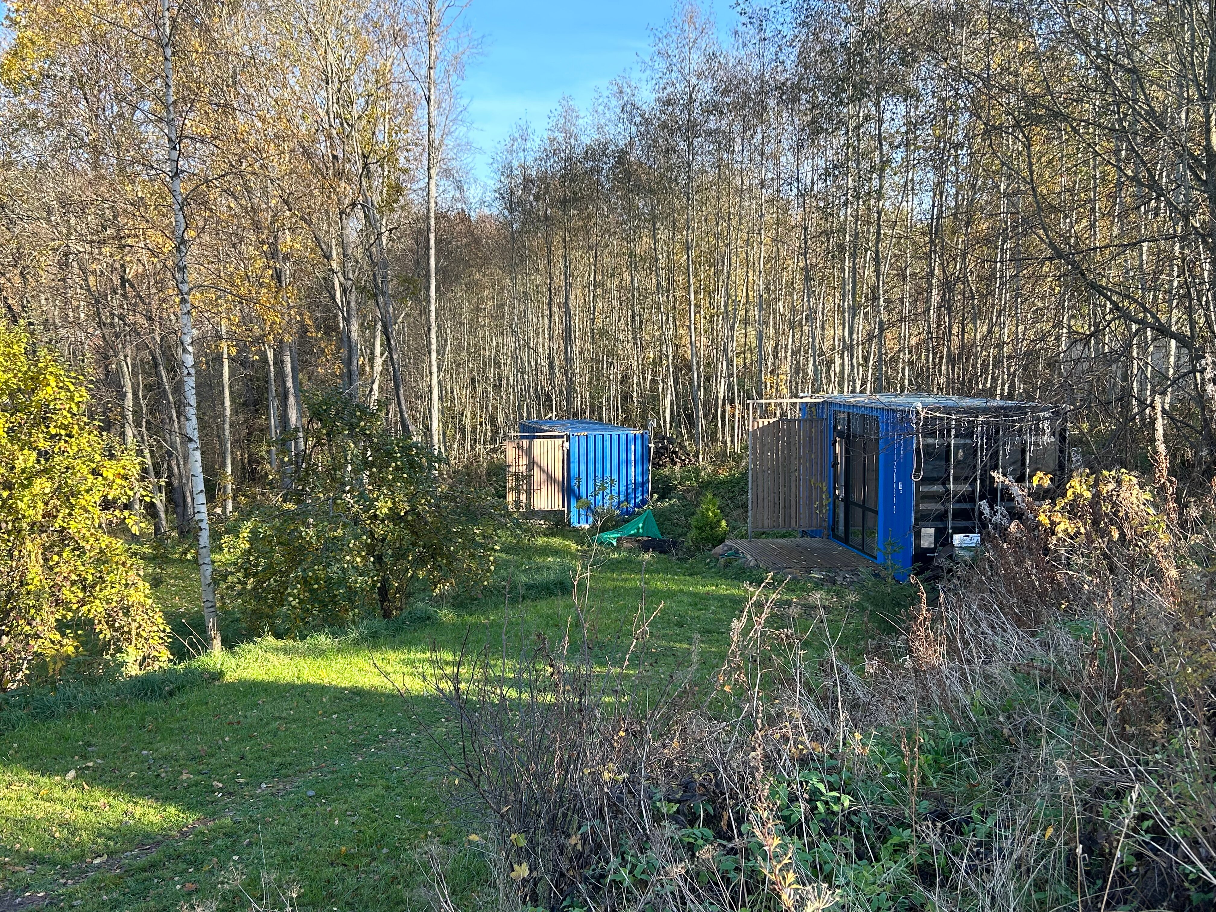 Фото Зелёный холм