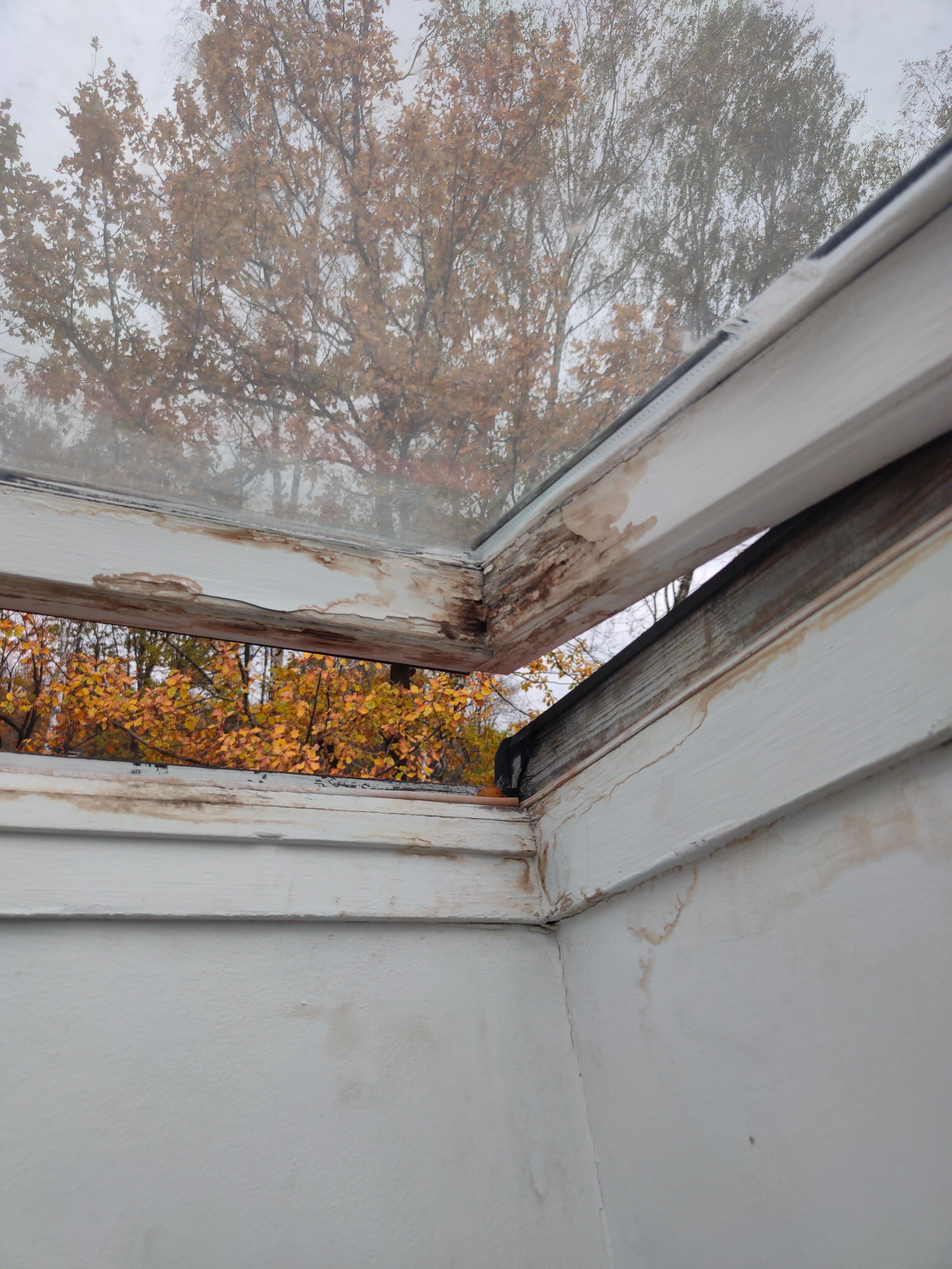 Фото Центр бадминтона и настольного тенниса