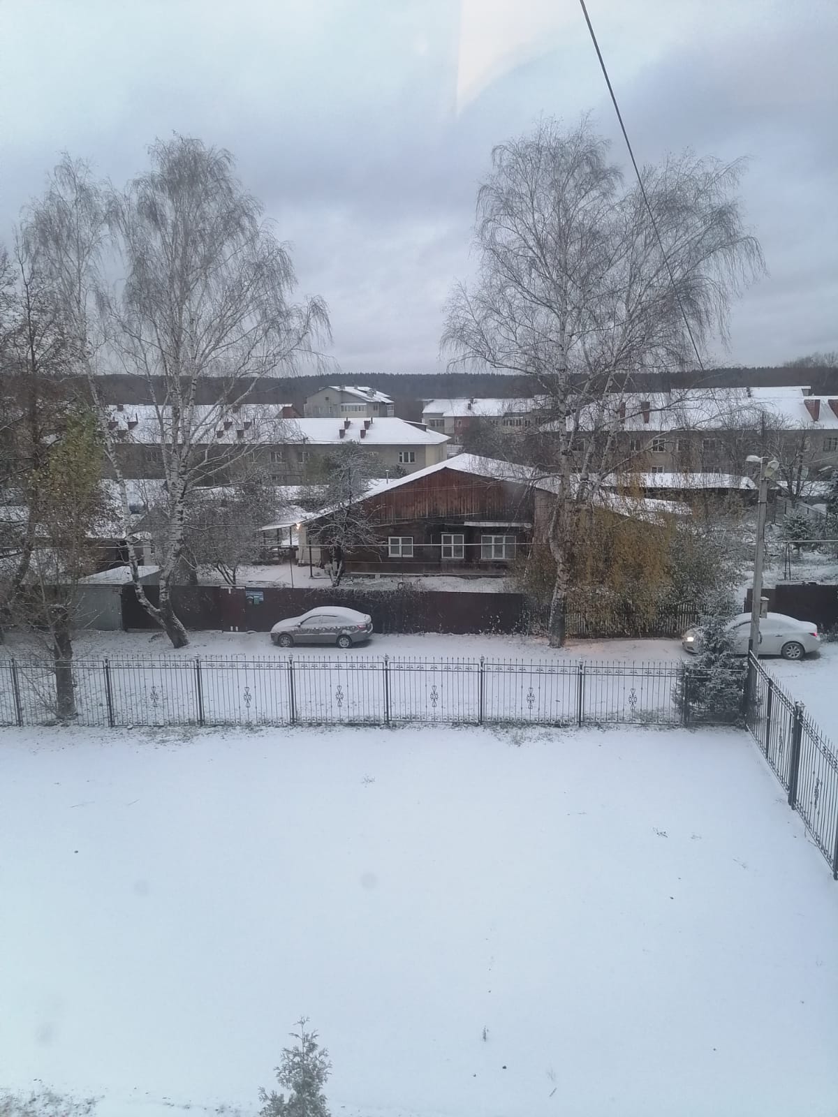 Фото Роза Ветров