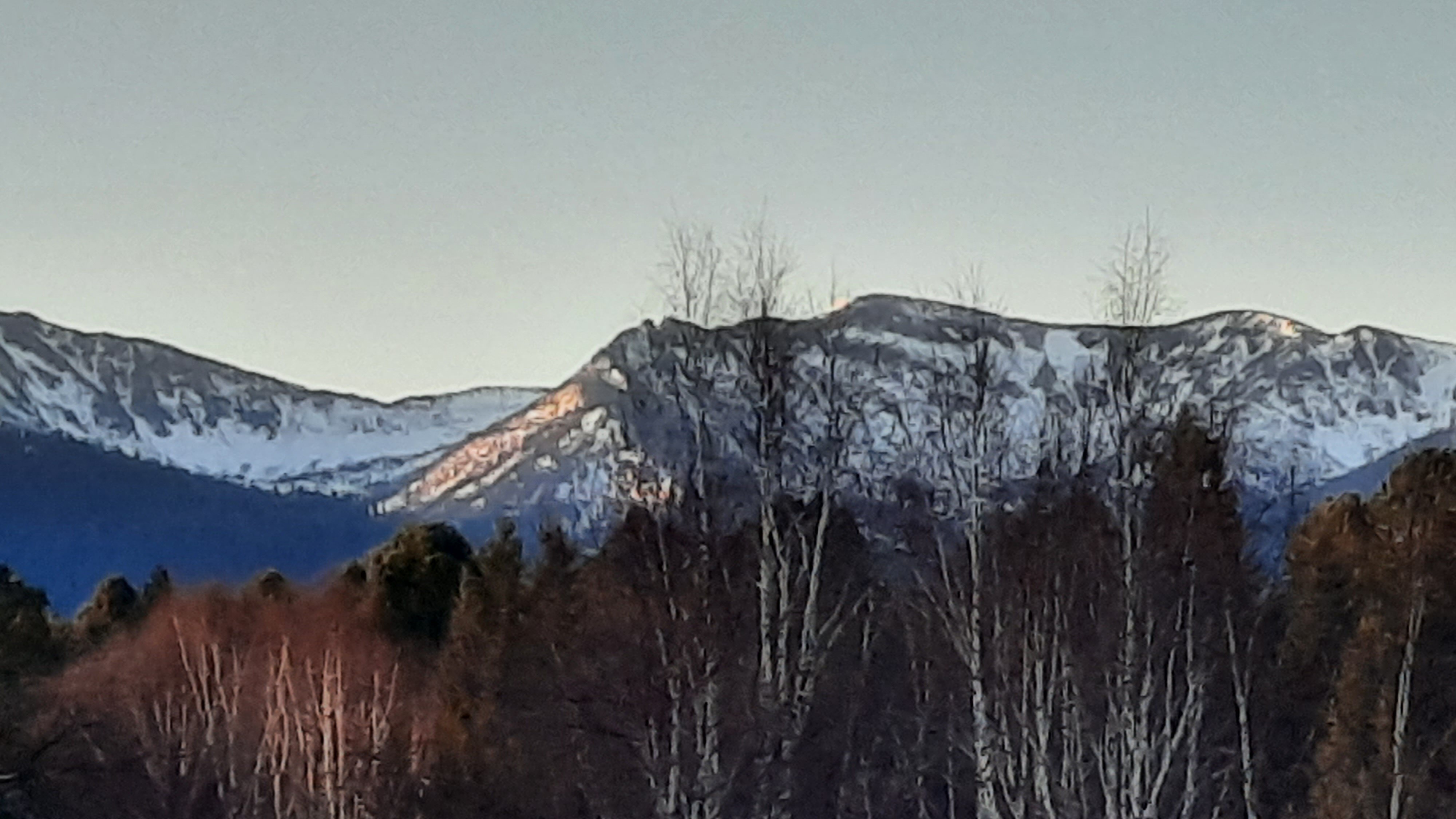 Фото ‎Выдринка