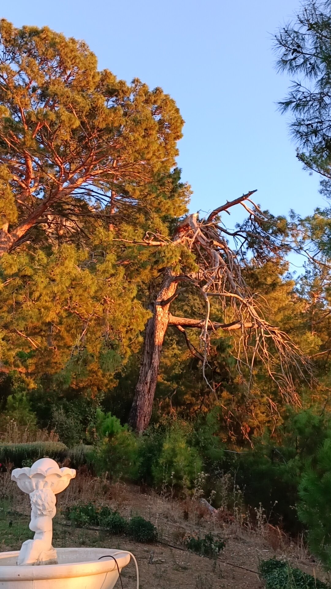 Фото Garcia Resort & Spa