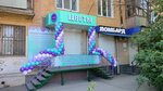 La Vanda (40 Let VLKSM Street, 8) ، محل زهور