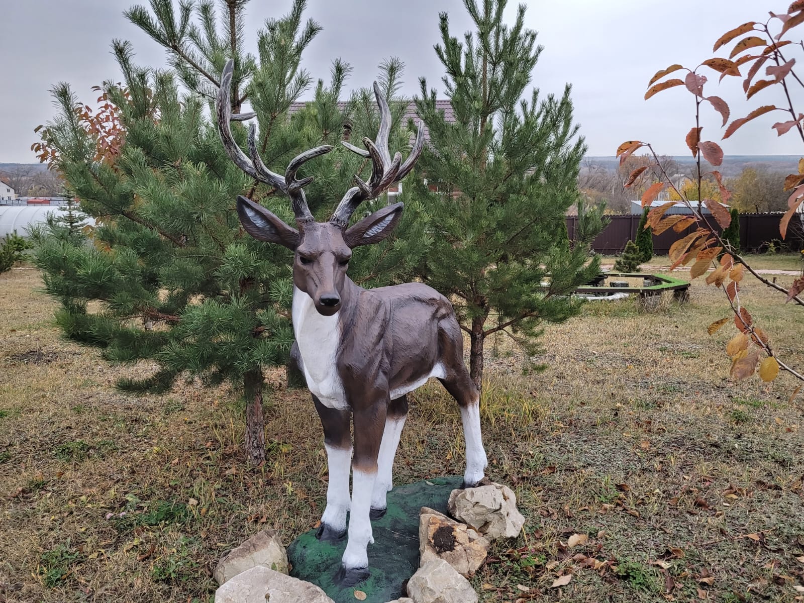 Фото Альпийская Усадьба Поречье