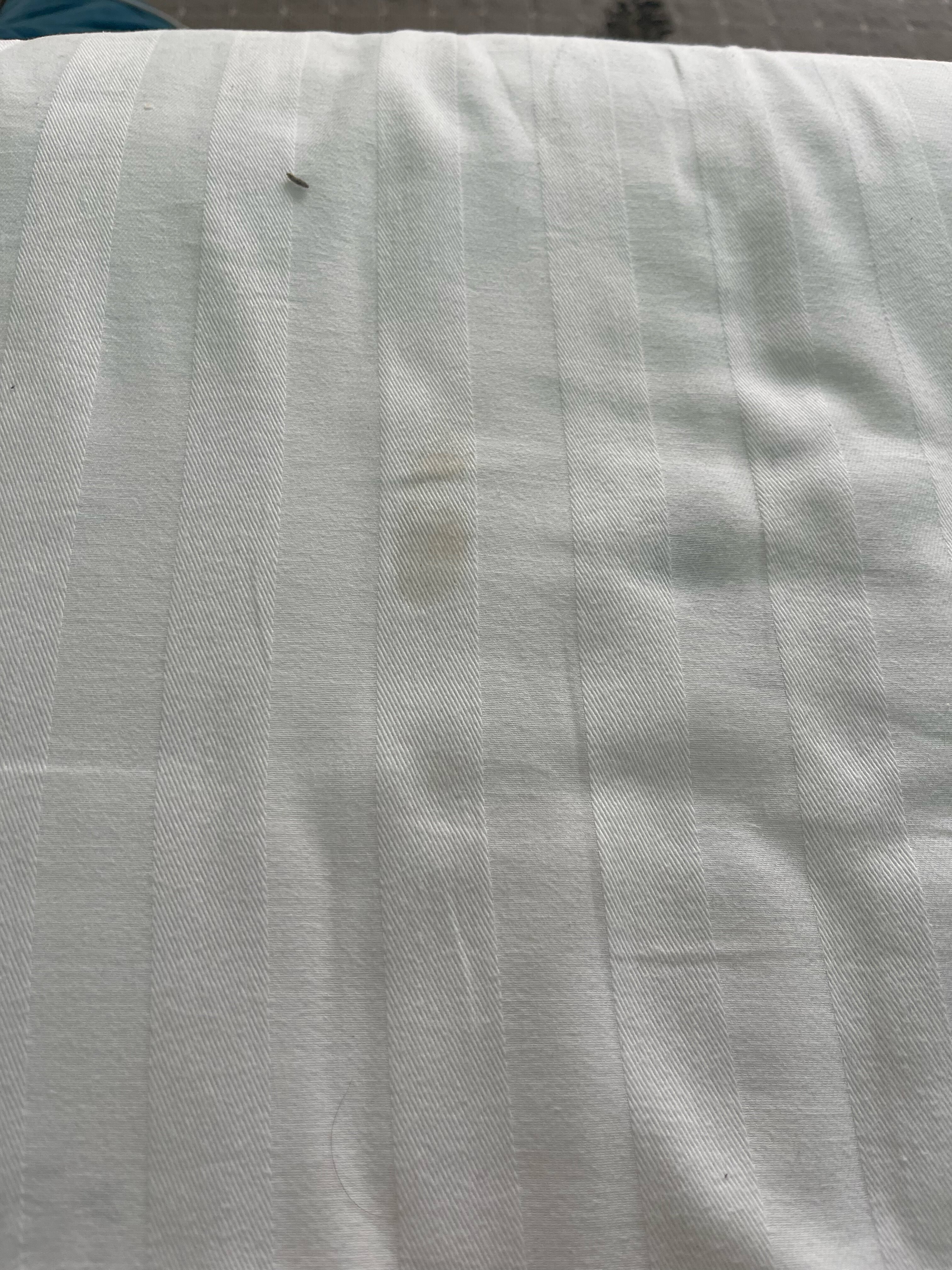 Фото Art House Hotel