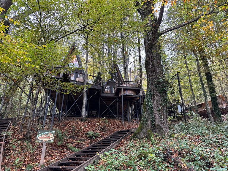 Фото Дзен Поляна