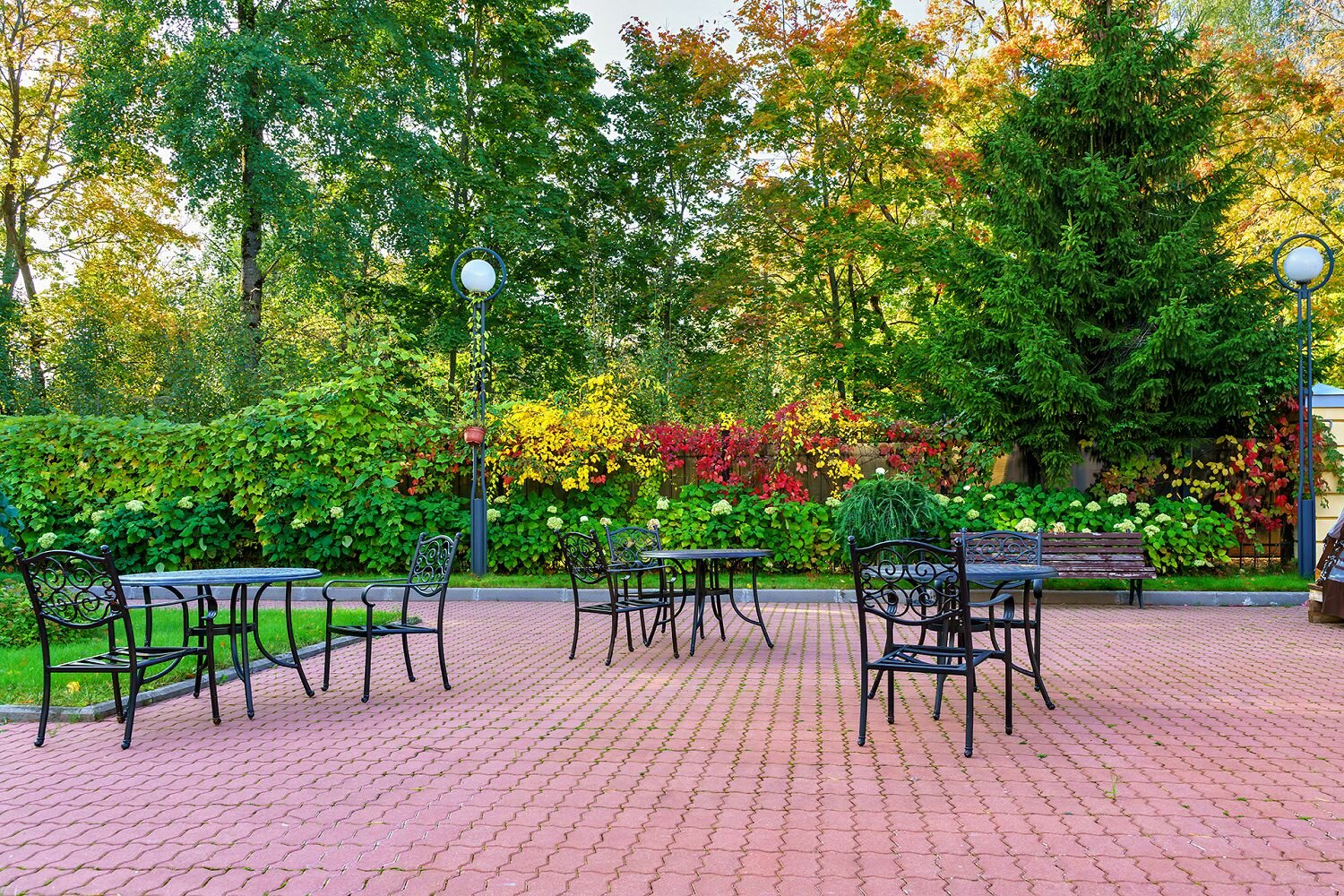 Фото Репинский курорт