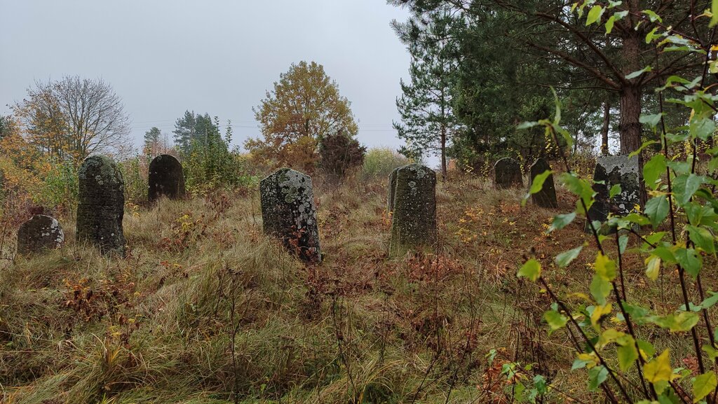 Достопримечательность Еврейское кладбище, Гродненская область, фото