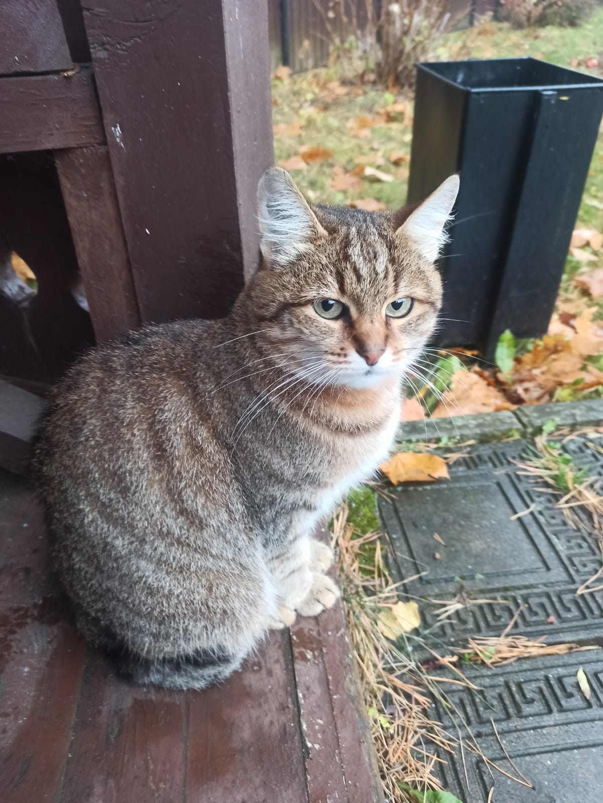 Фото Комфорт