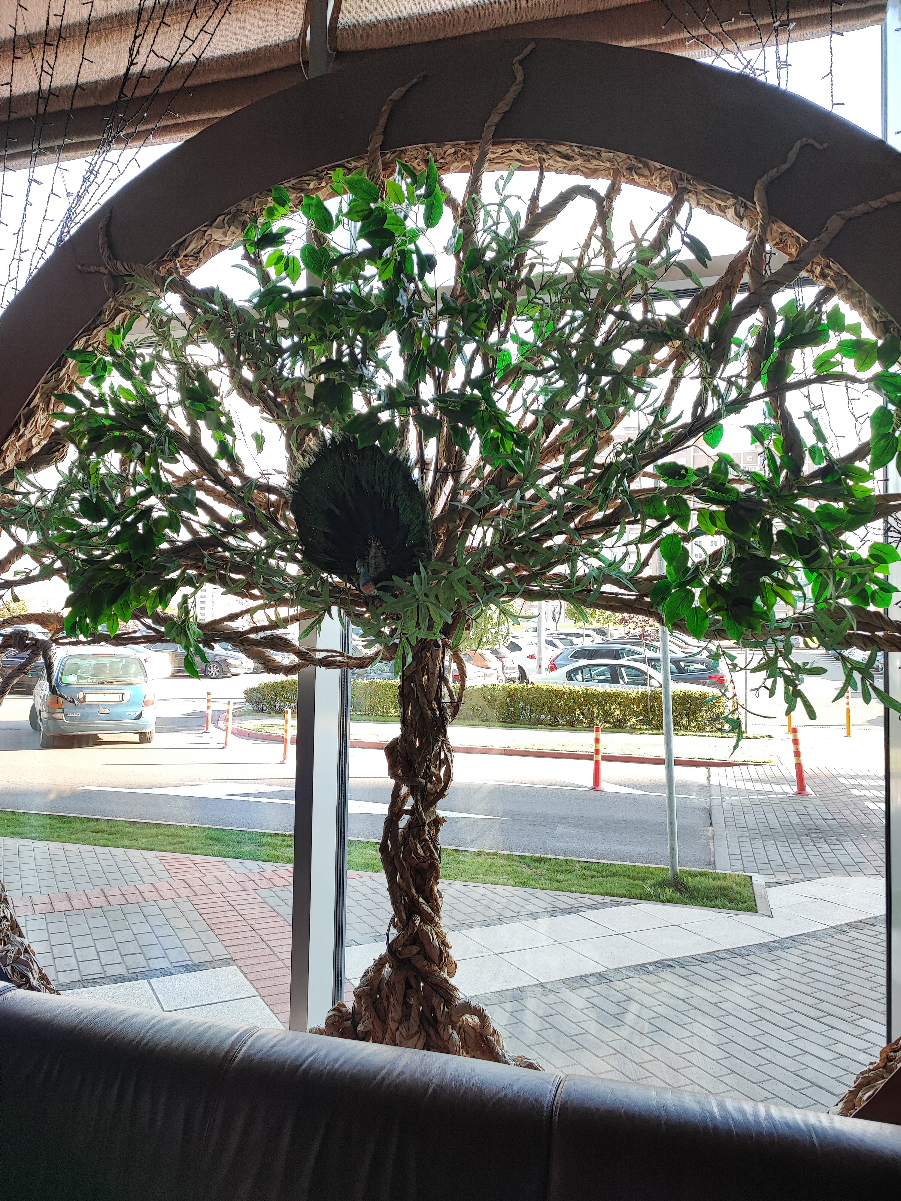 Фото Green City Hotel