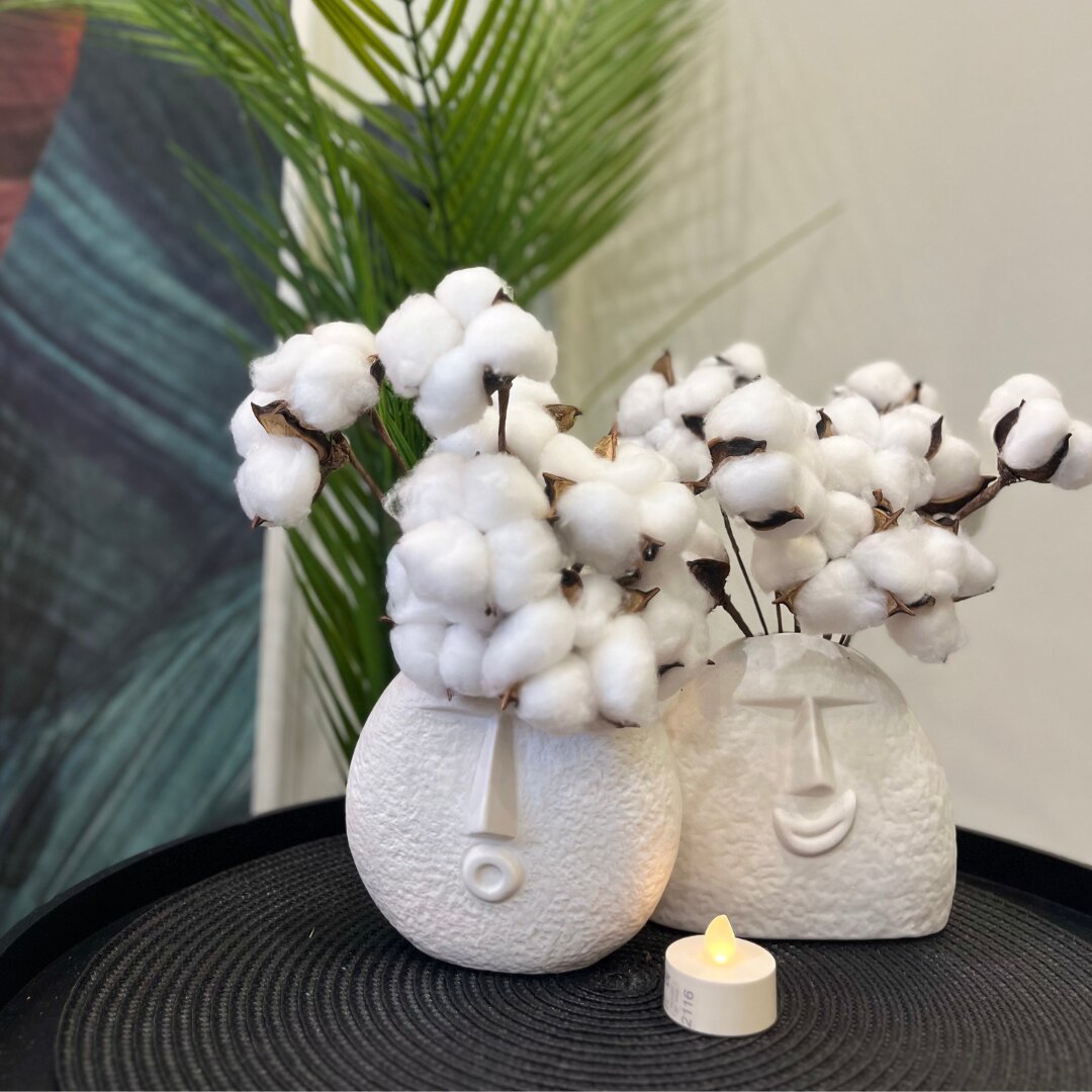 Фото Вилерона