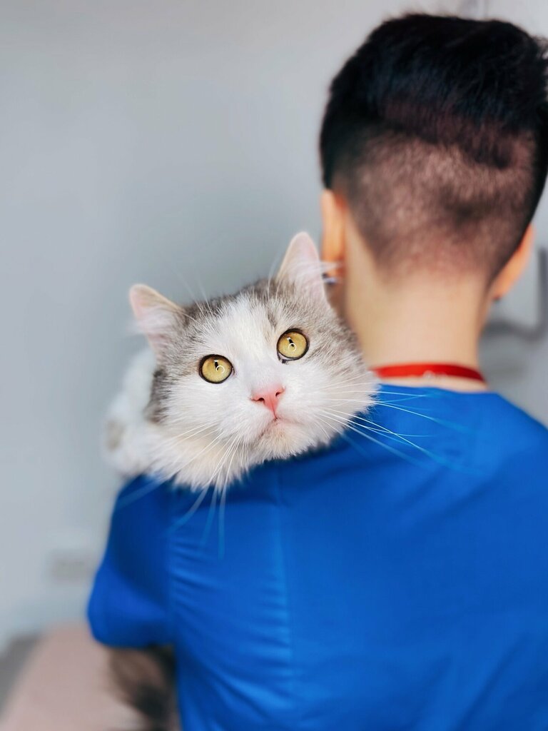 Veterinary clinic Dr. Moore, Voronezh, photo