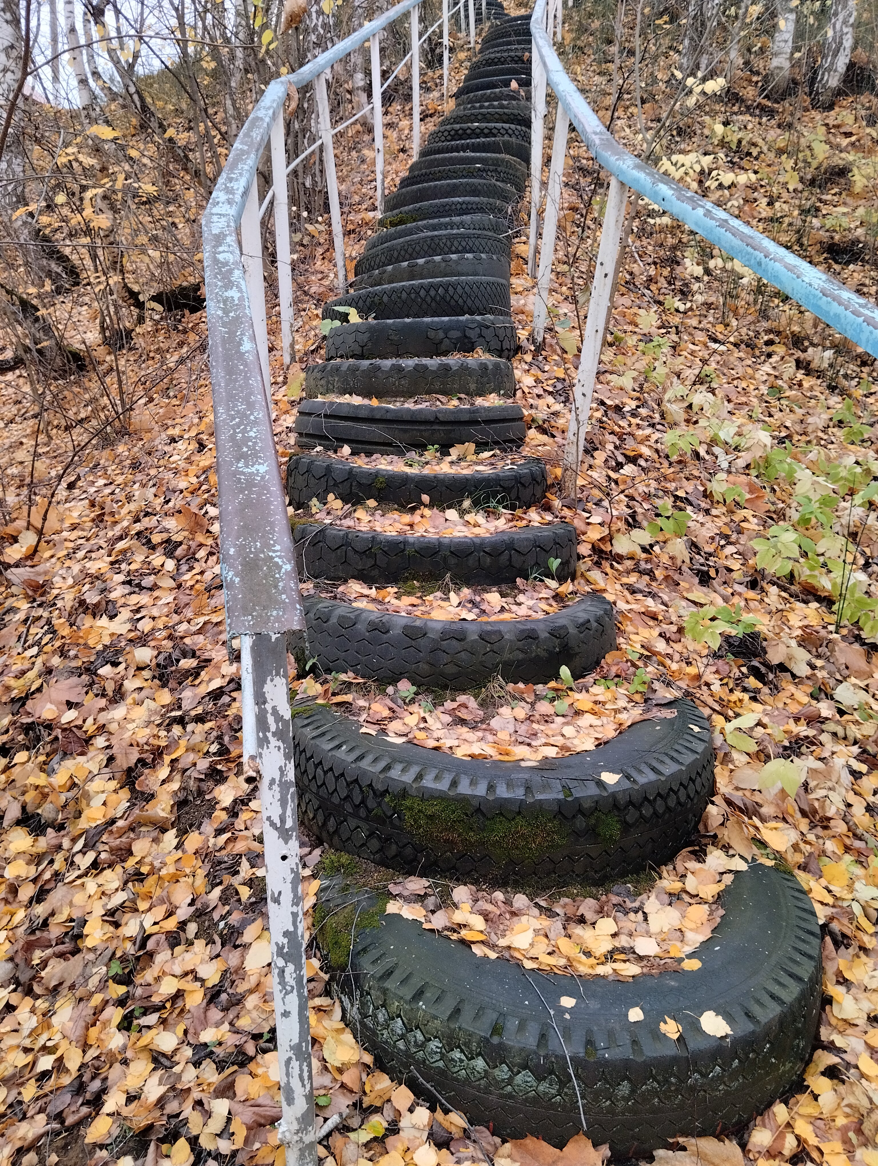 Фото Волжанка