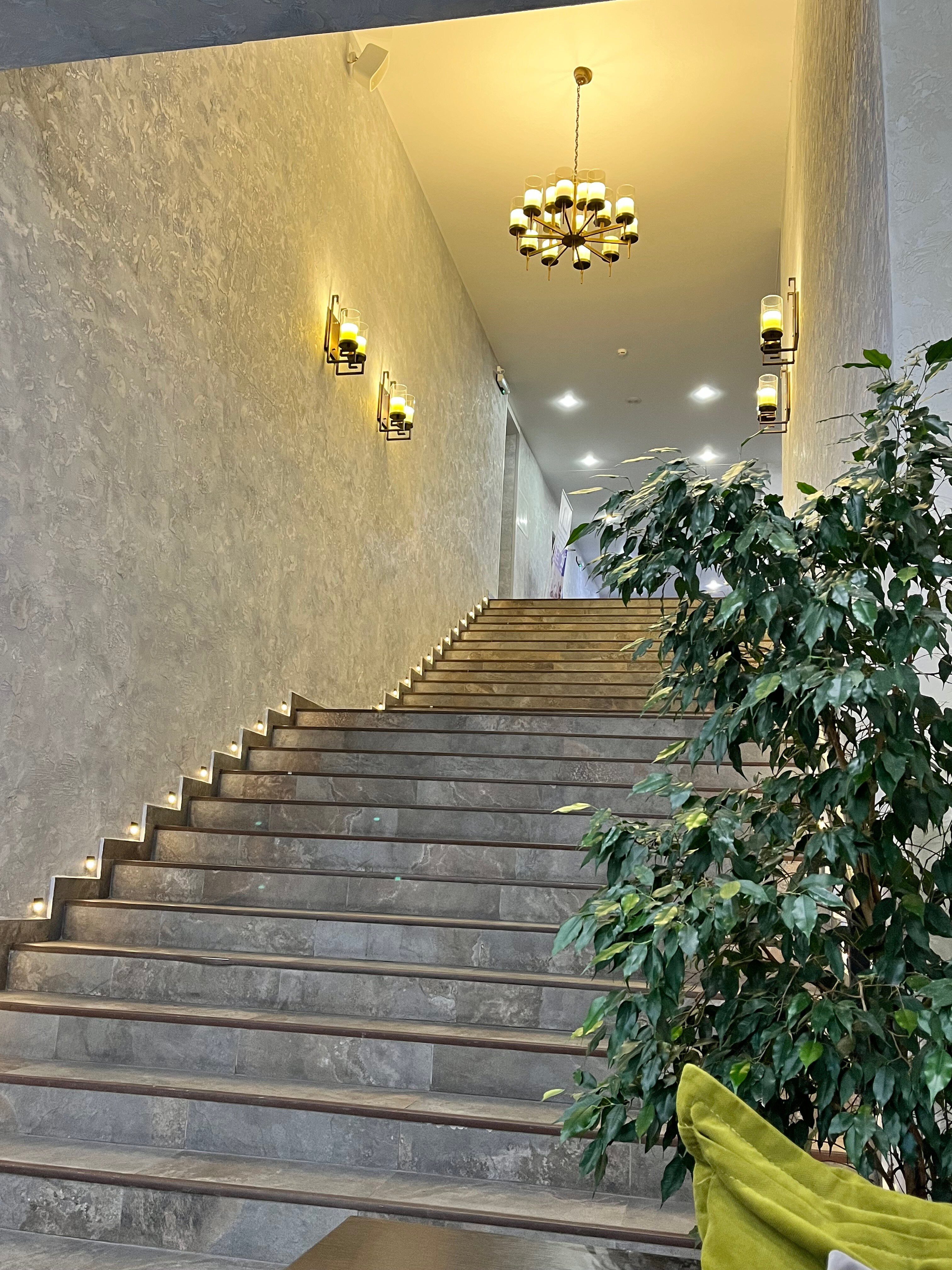 Фото Ивмонтан