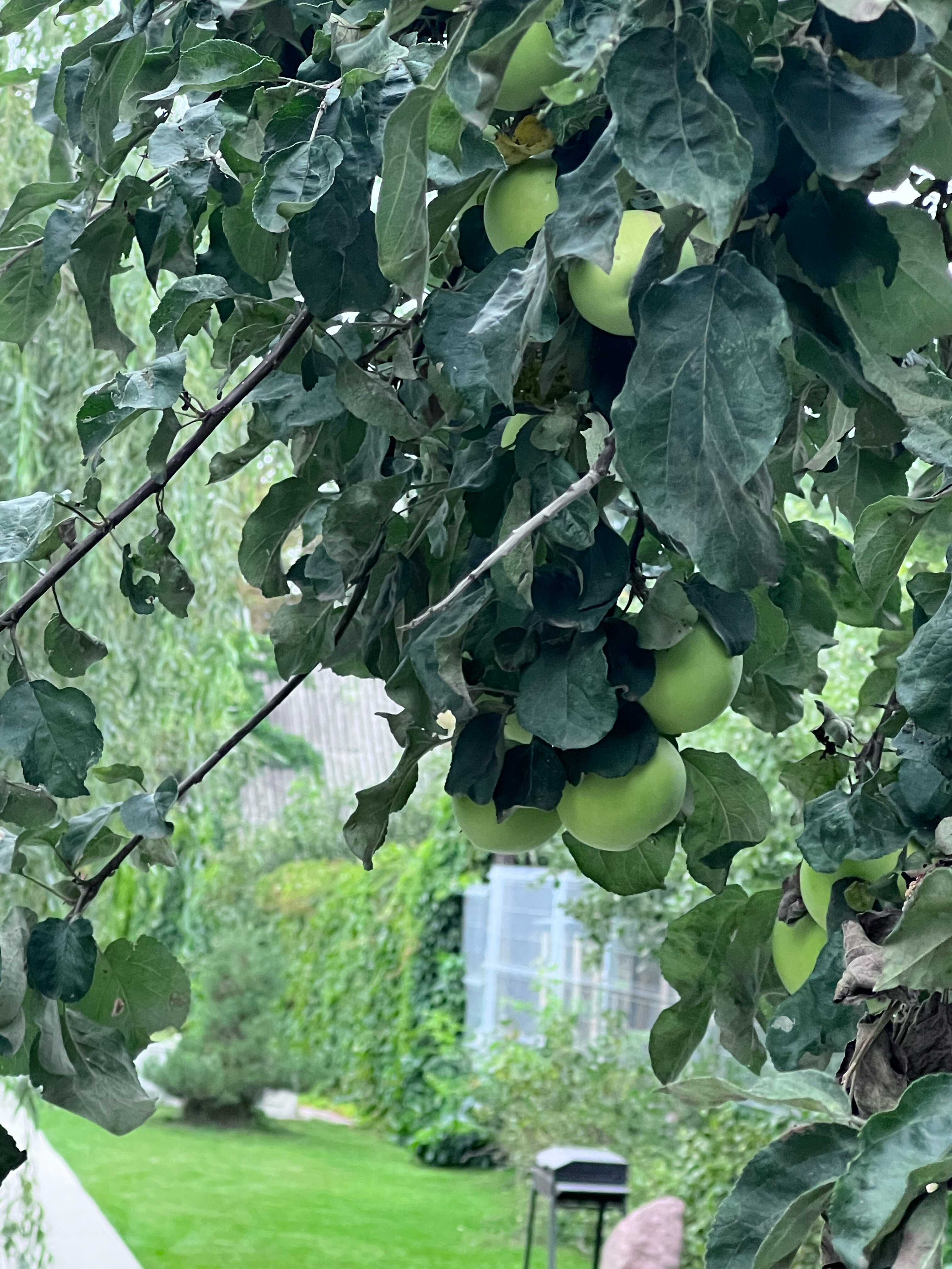 Фото Путь Пилигрима