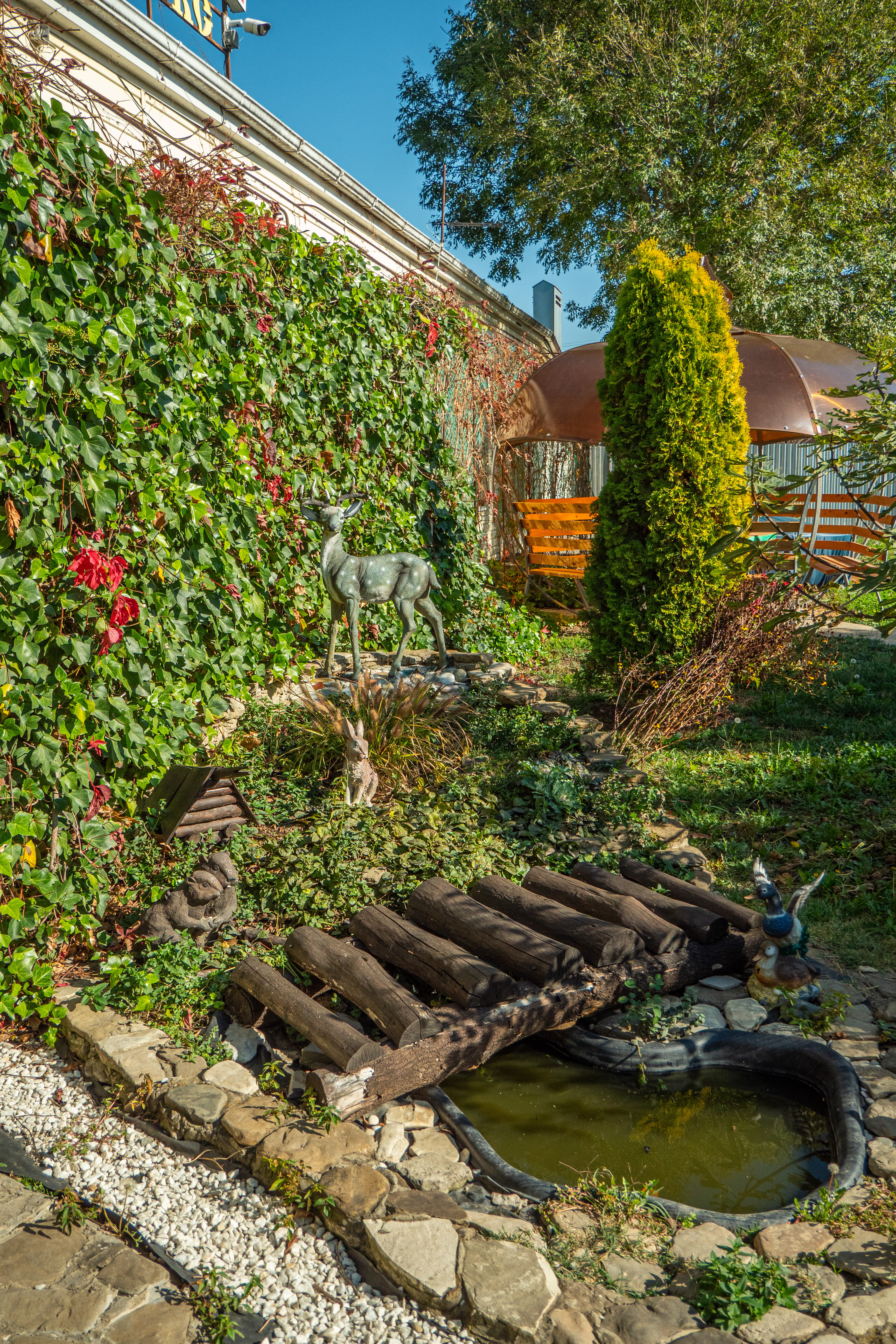 Фото Курени