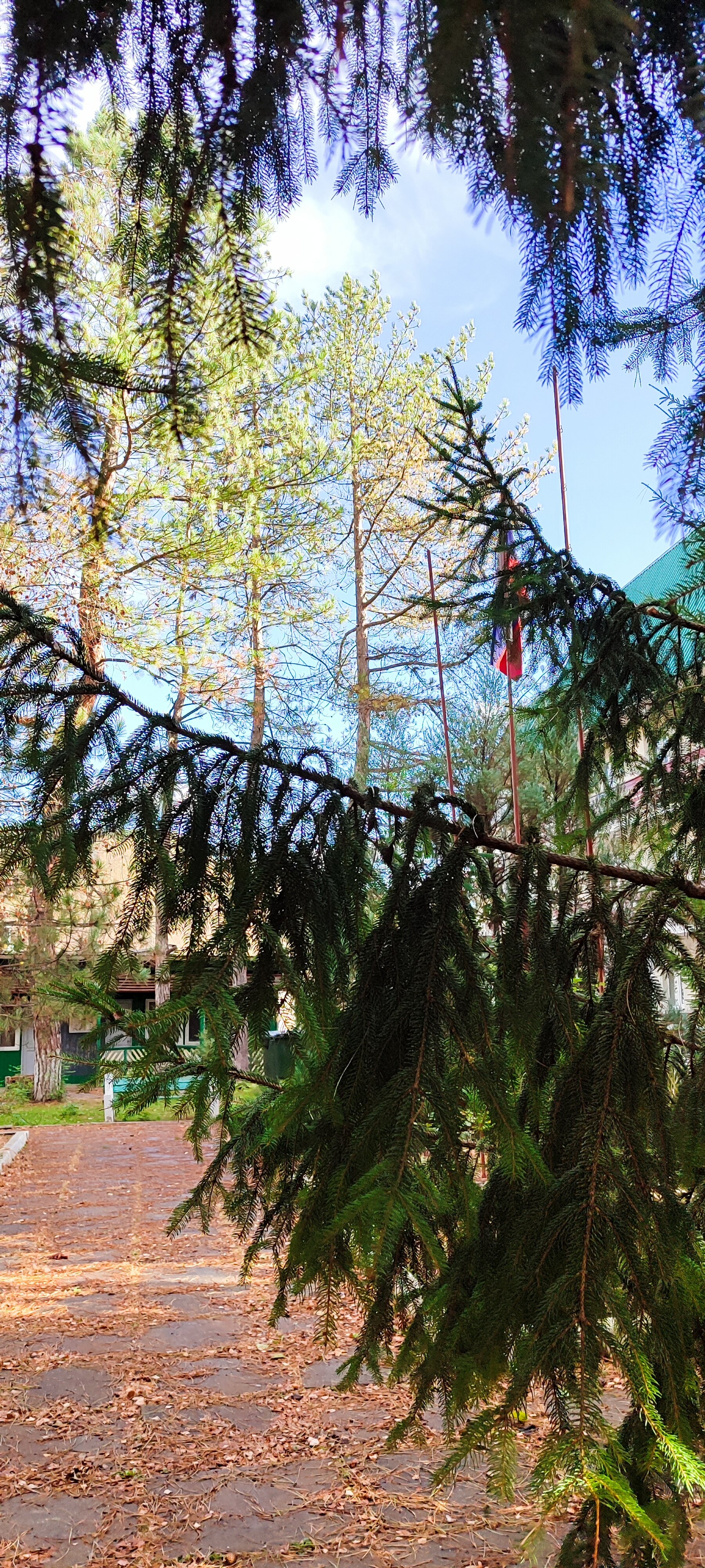 Фото Орлиный залет