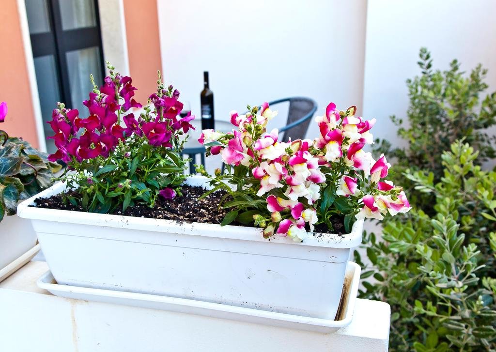 Фото B&b Shining