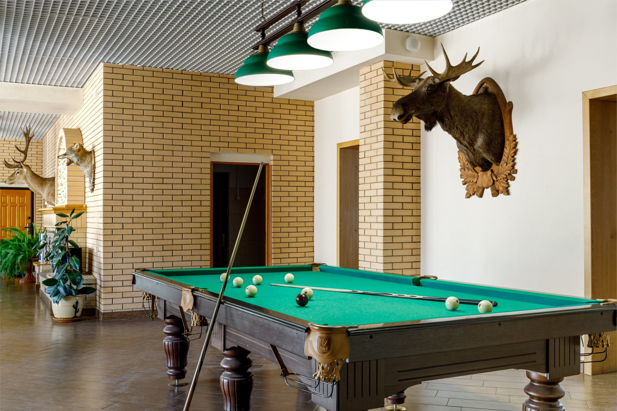 Фото Гостиница Мезмай