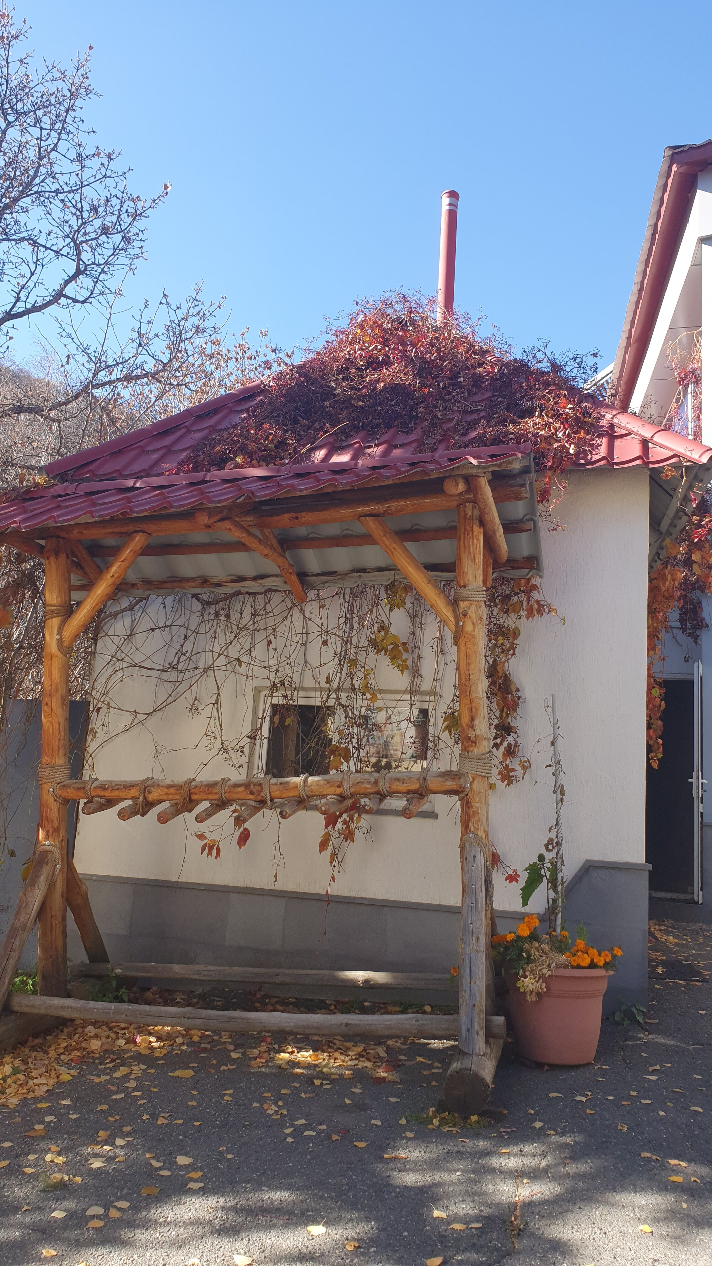 Фото Alva Hotel & SPA