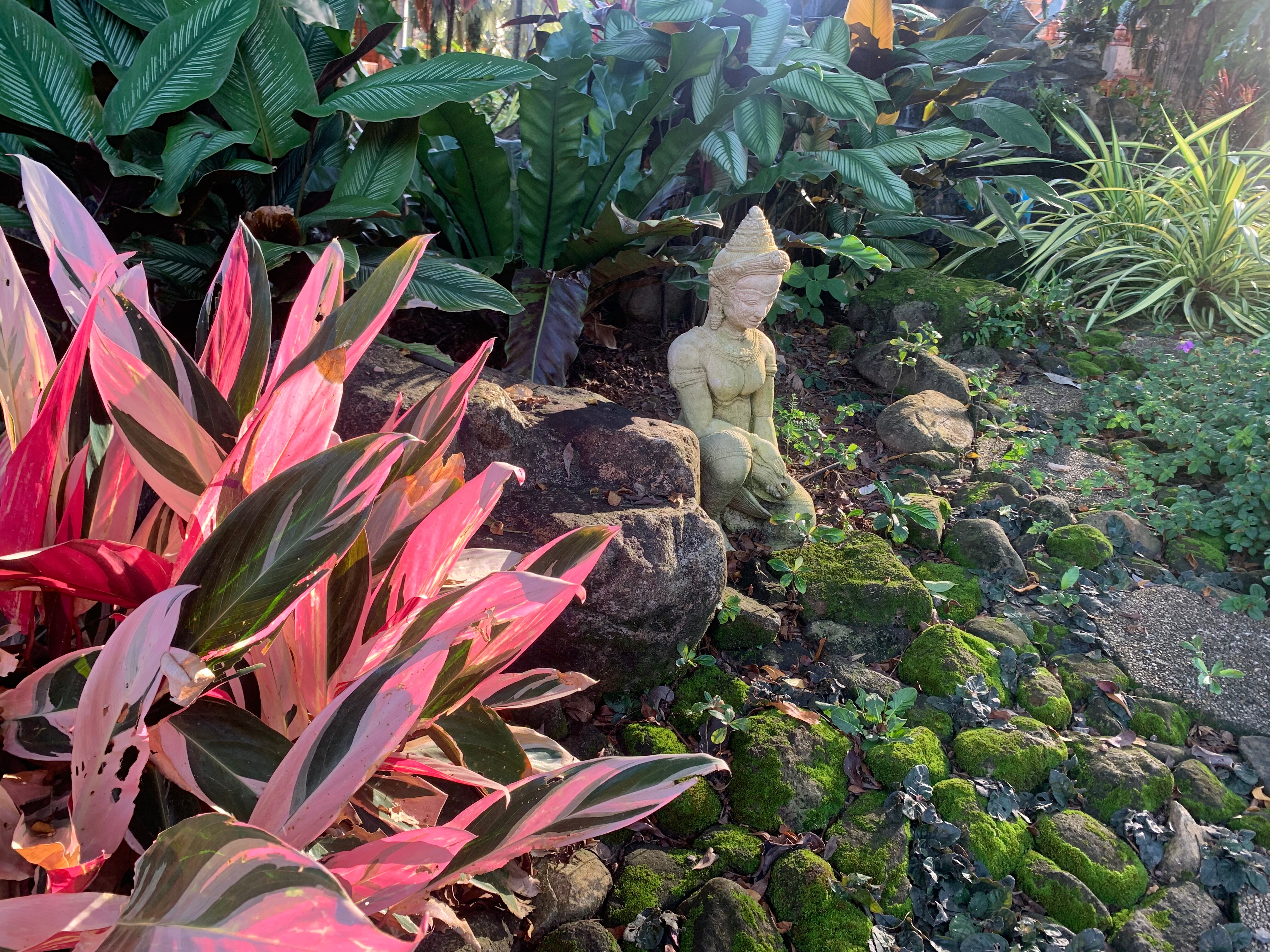 Фото Coconut Beach Resort