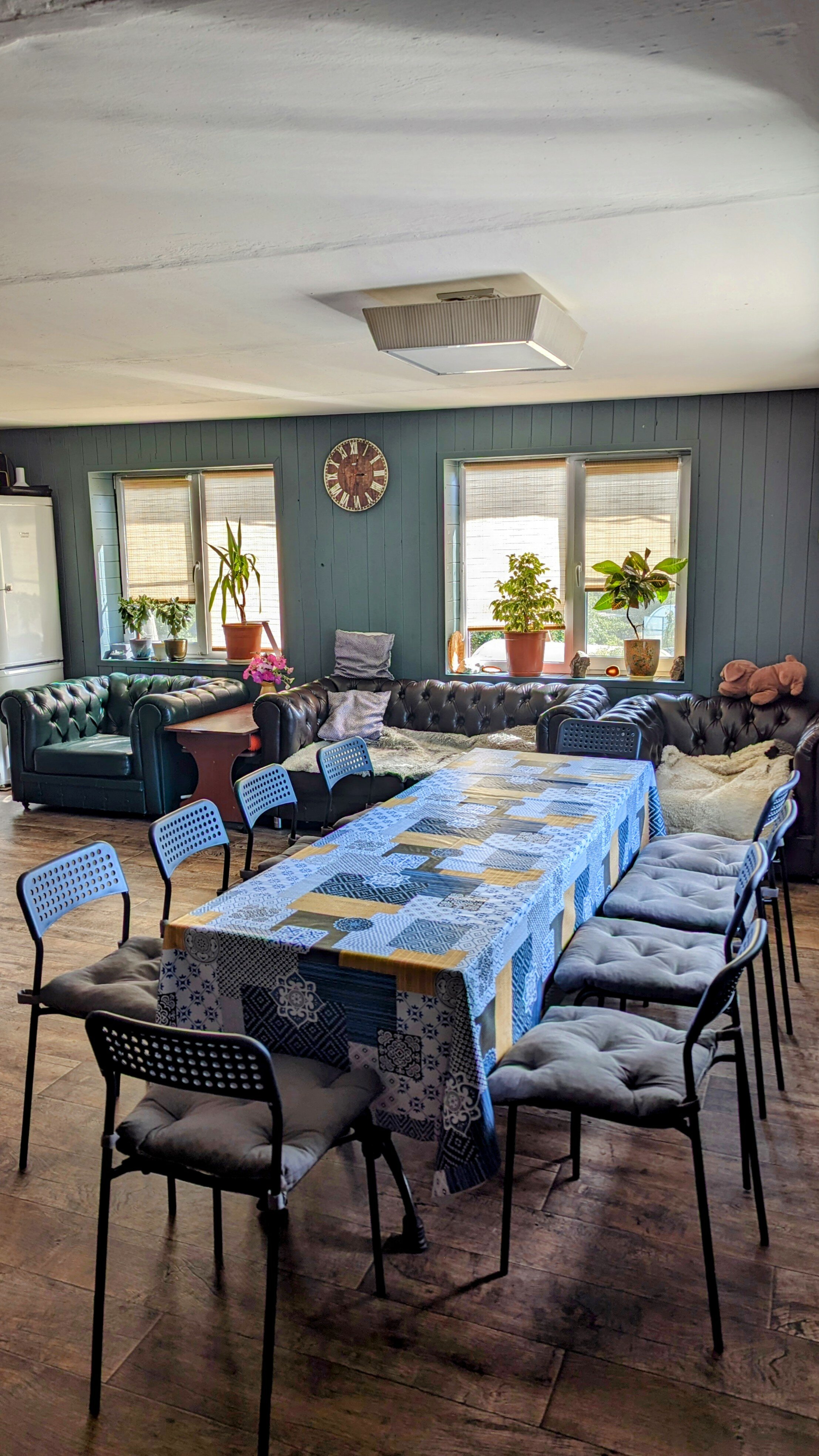 Фото Дикая Вишня