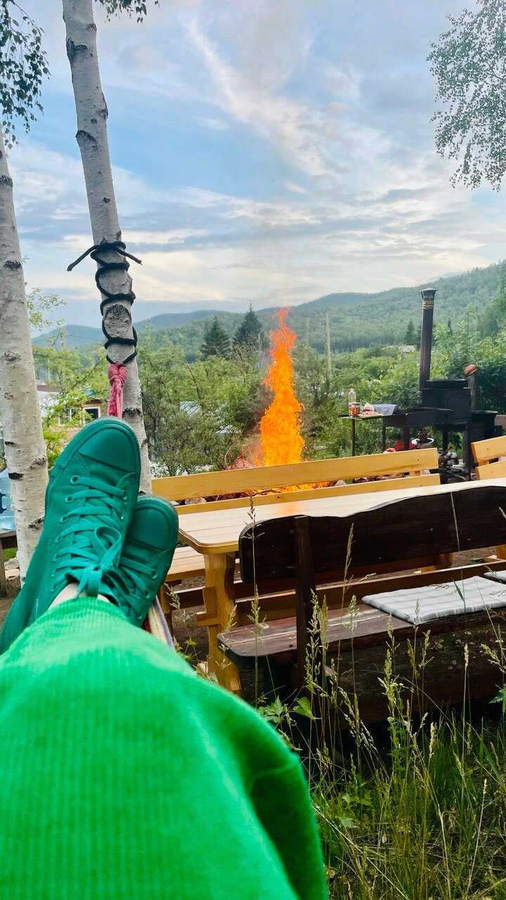 Фото Дикая Вишня