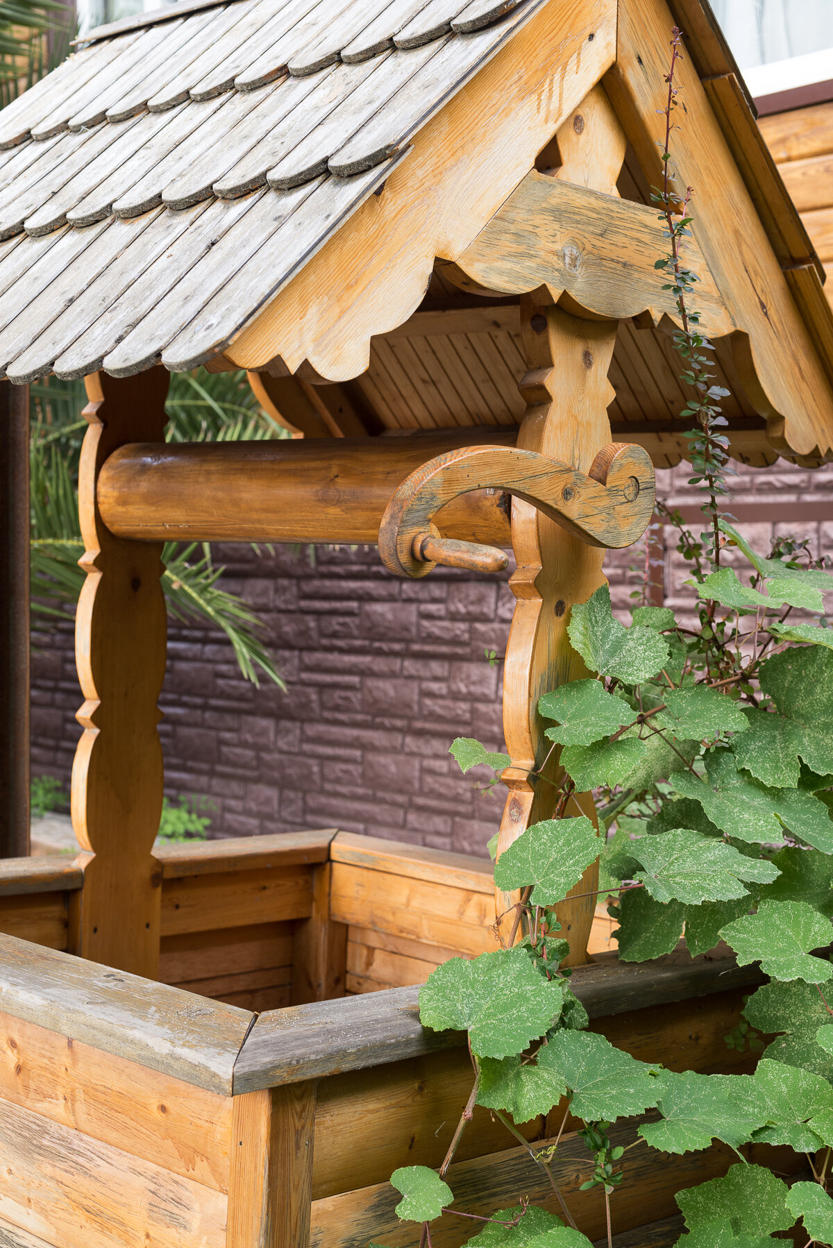 Фото Апельсин