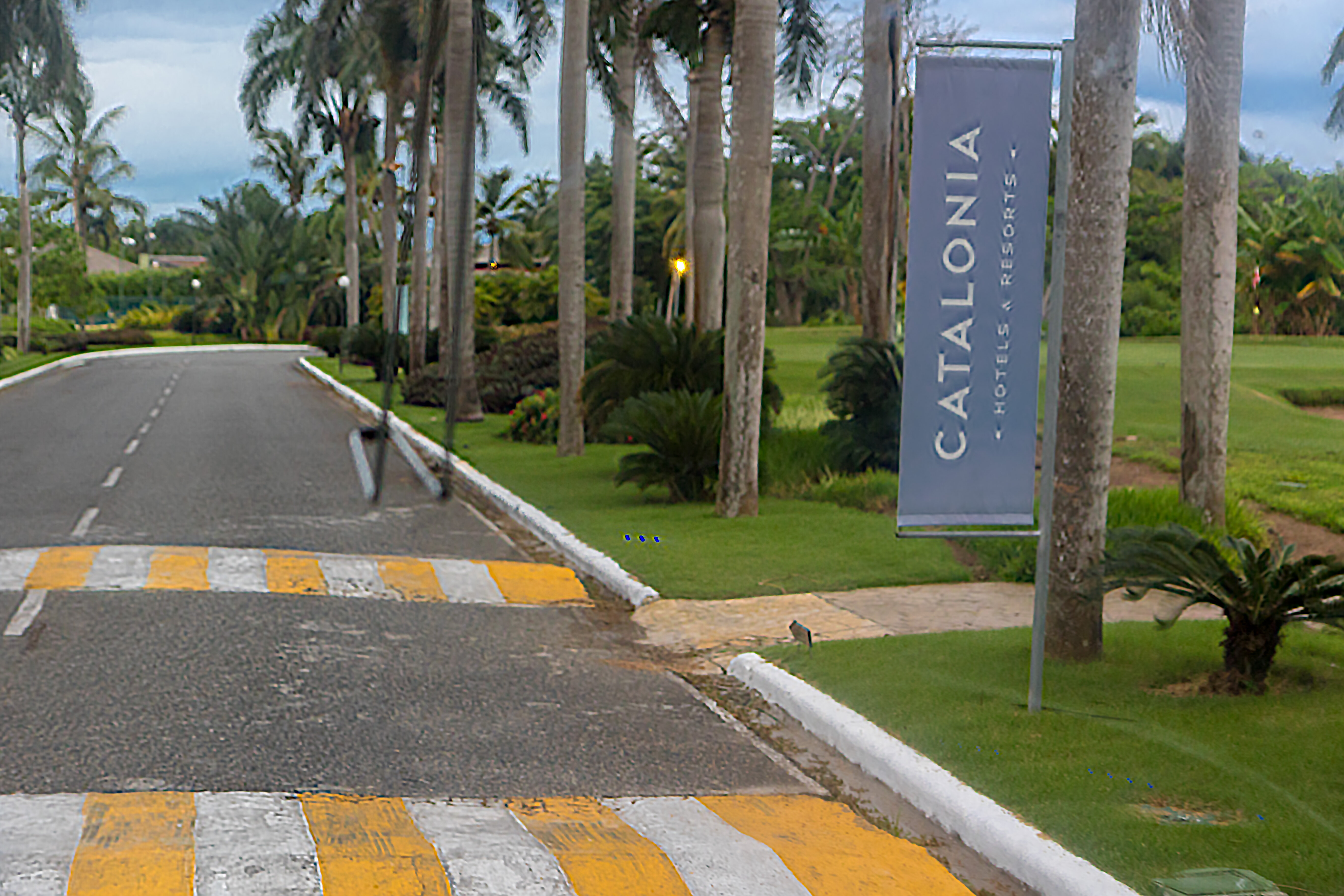 Фото Catalonia Royal Bavaro