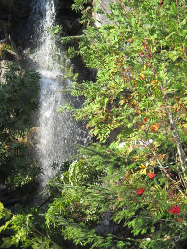 Фото Hotel Alpenland