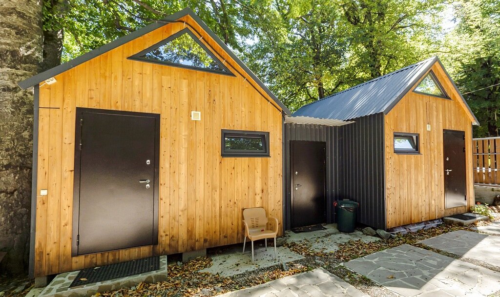 Фото Чинара